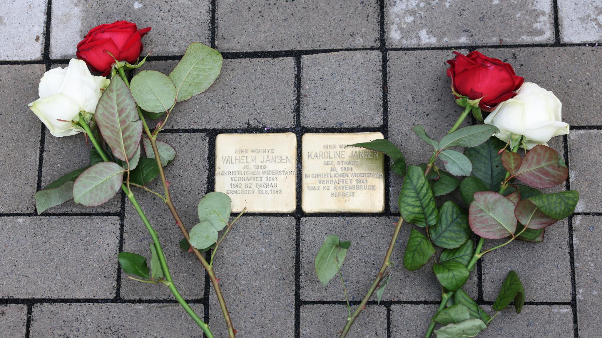 Stolbersteine mit zwei Rosen daneben