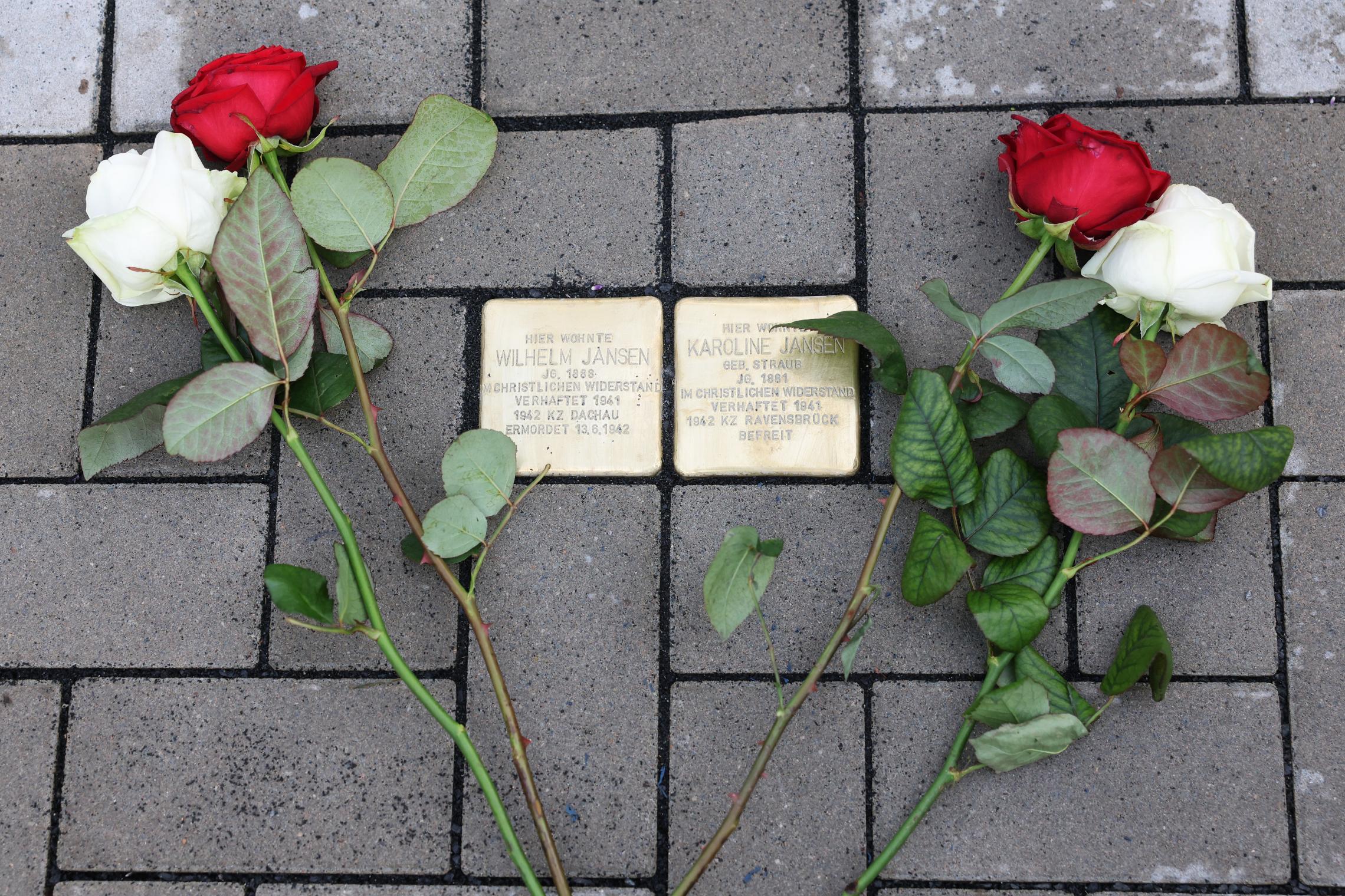 Stolbersteine mit zwei Rosen daneben