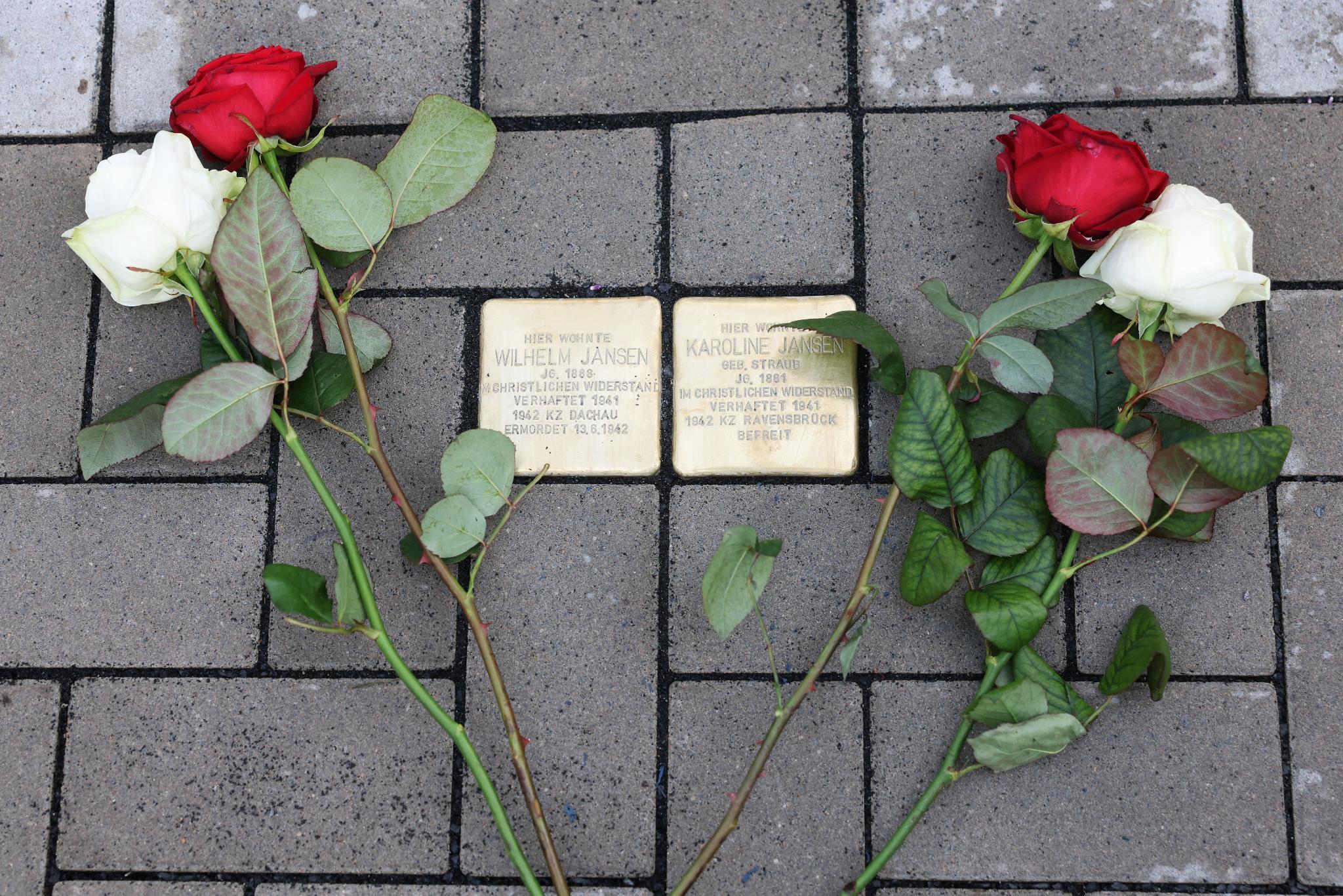 Stolbersteine mit zwei Rosen daneben