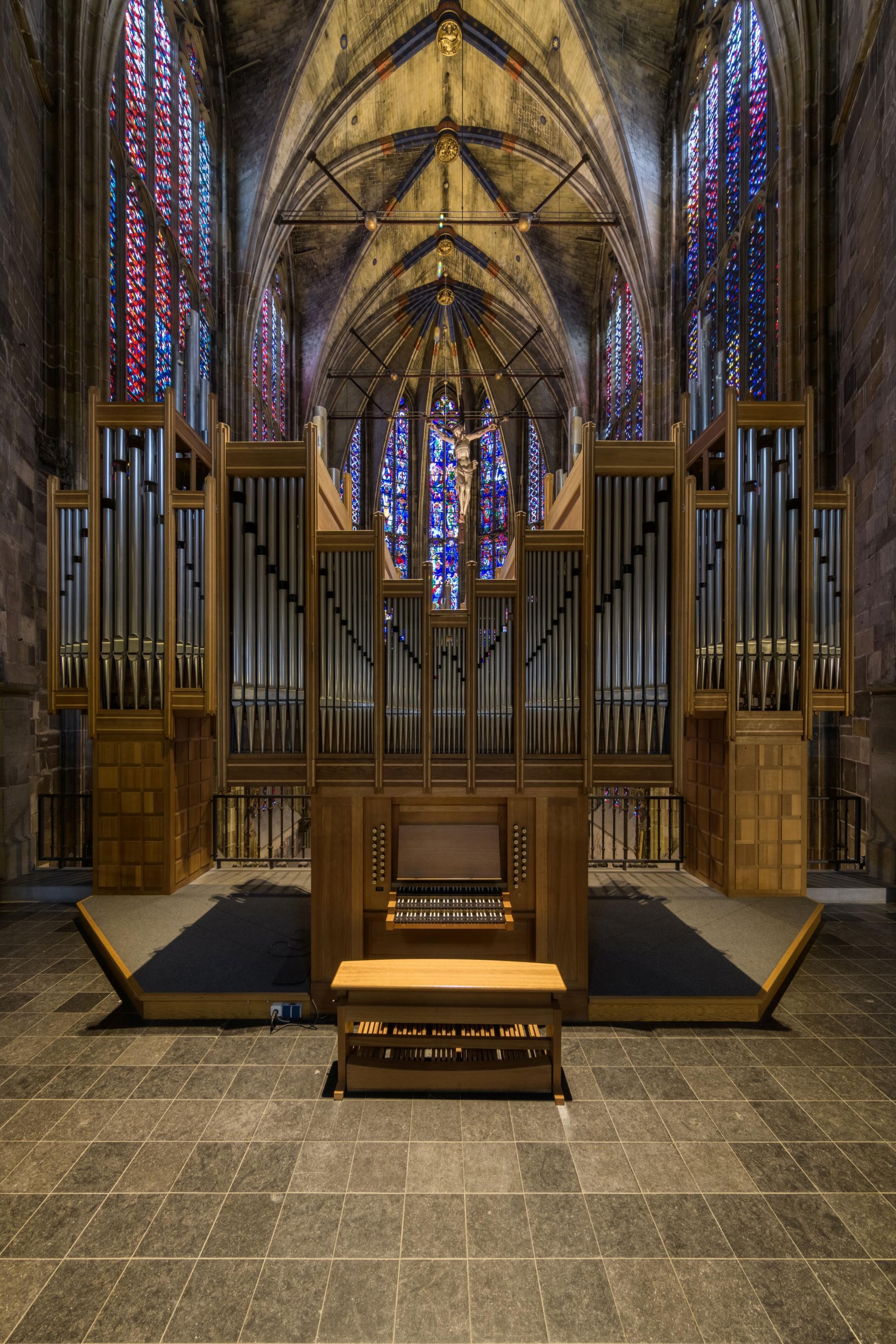 Domorgel