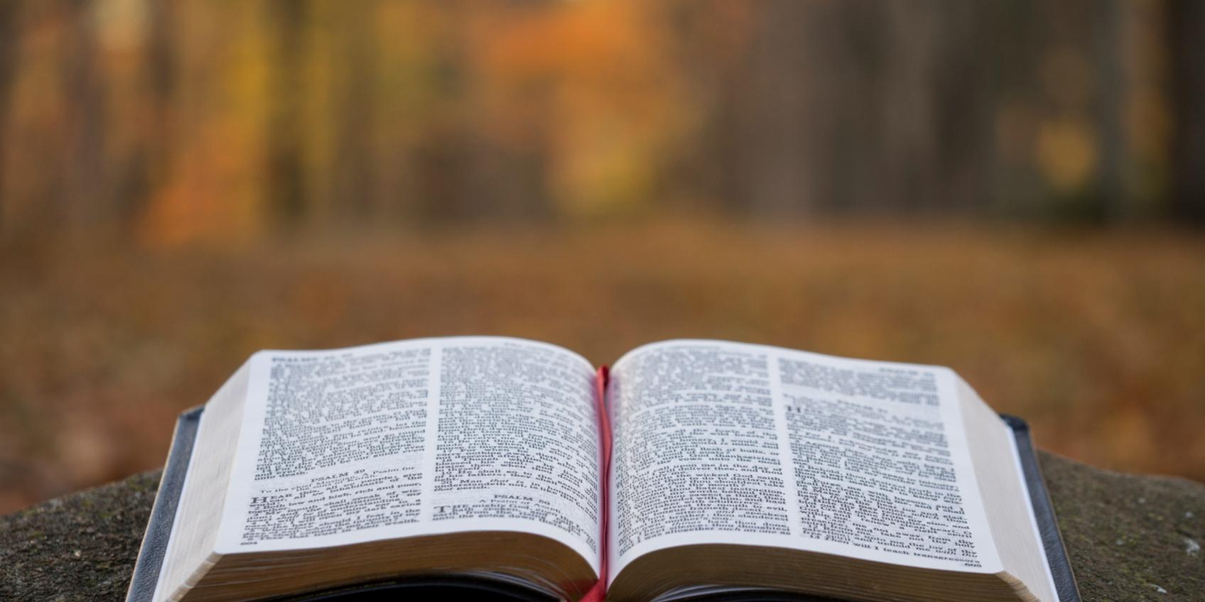 Bibel (c) Foto von Aaron Burden auf Unsplash