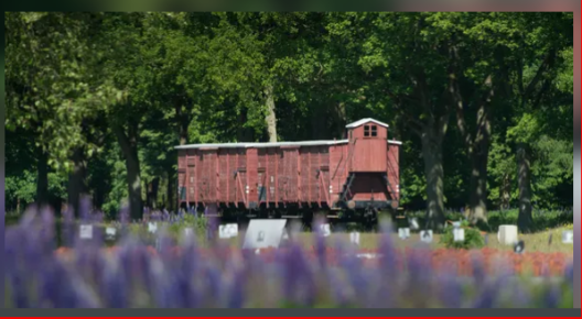 Gedenkstätte Westerbork, Baracke vor einer Blumenwiese