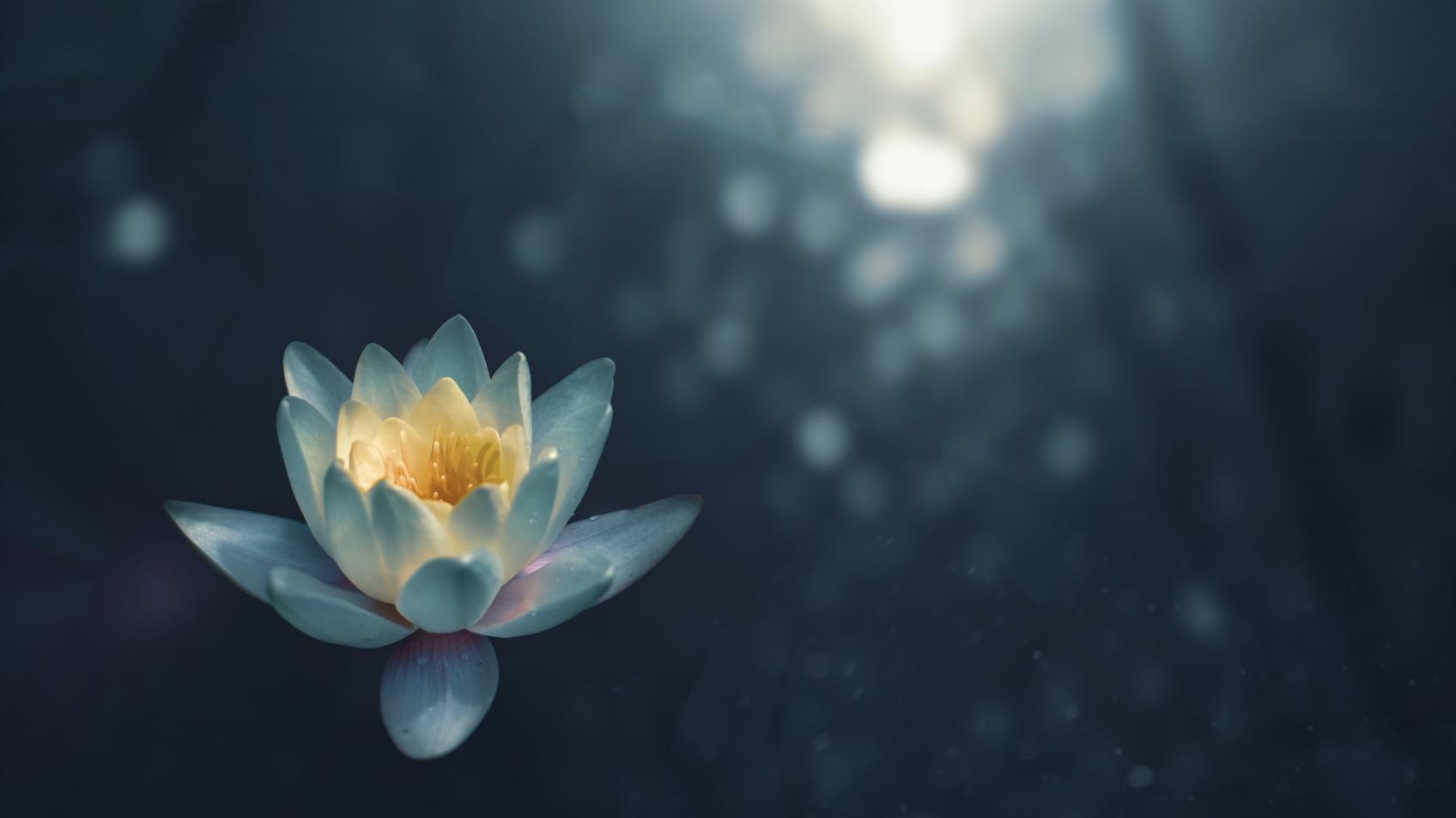 Meditation (c) Unsplash