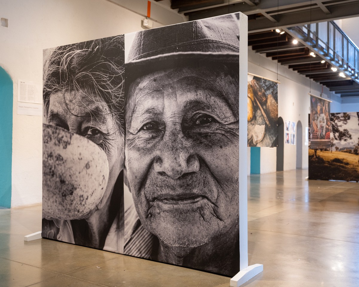 Die Ausstellung „Tana - Das Wasser der indigenen Pijao“ wurde am 17. Januar 2026 in Ibagué eröffnet.