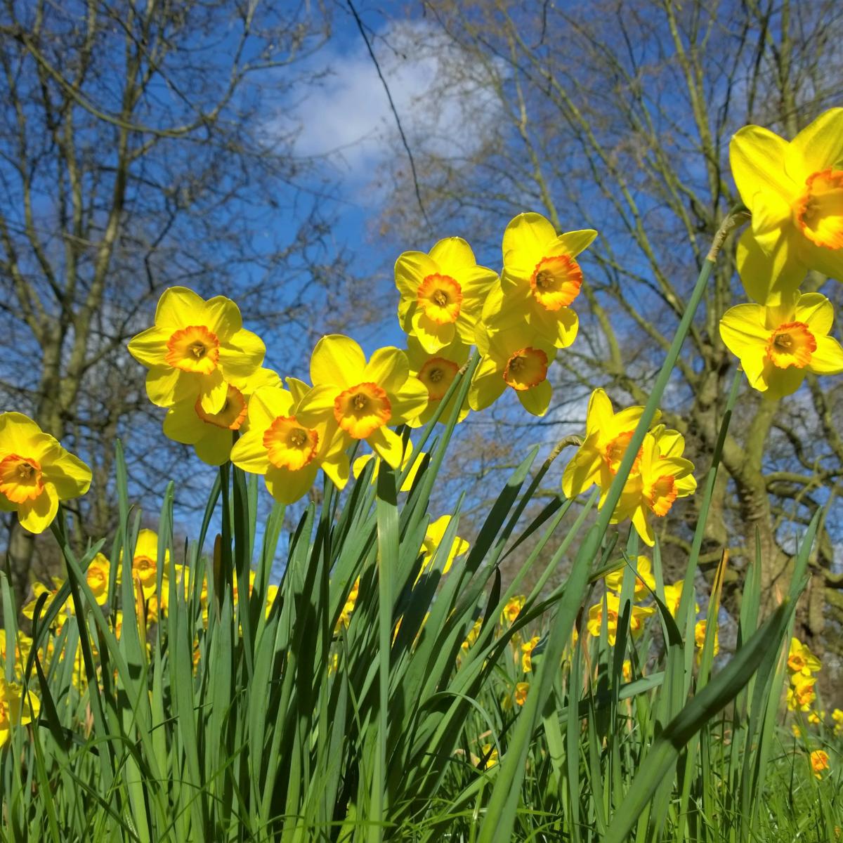 Fasten-und Osterzeit
