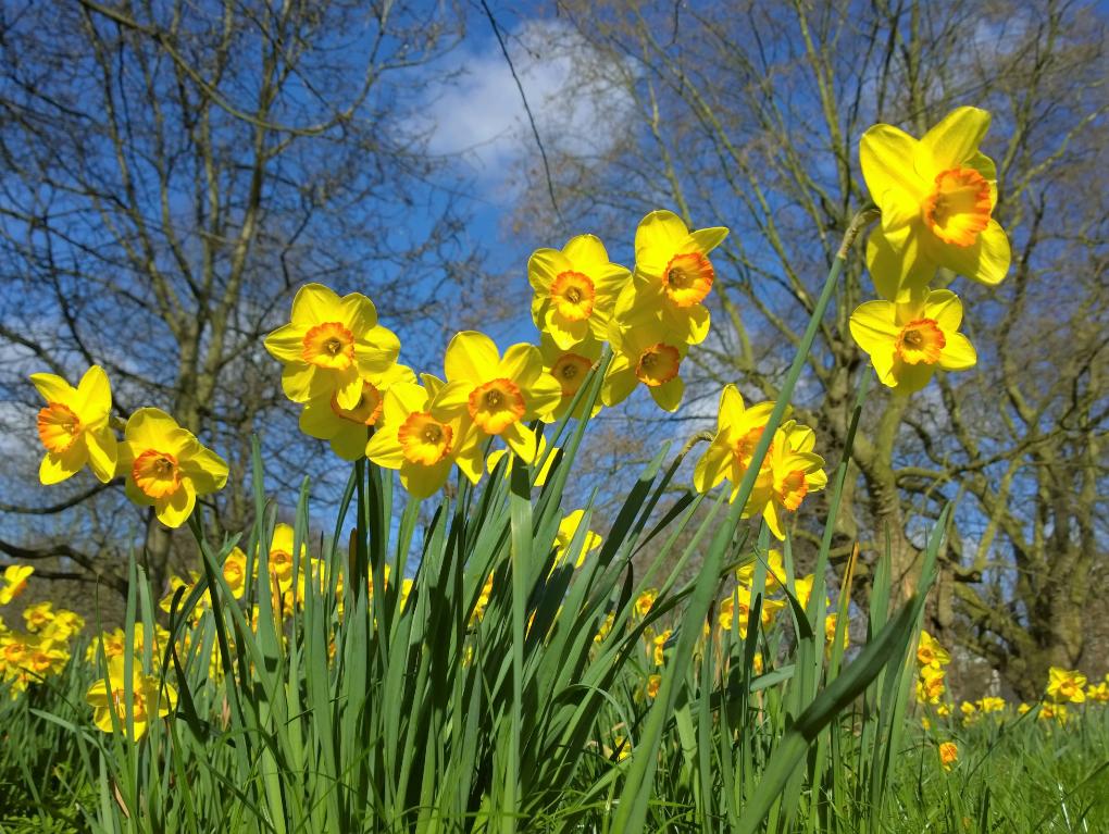 Fasten-und Osterzeit