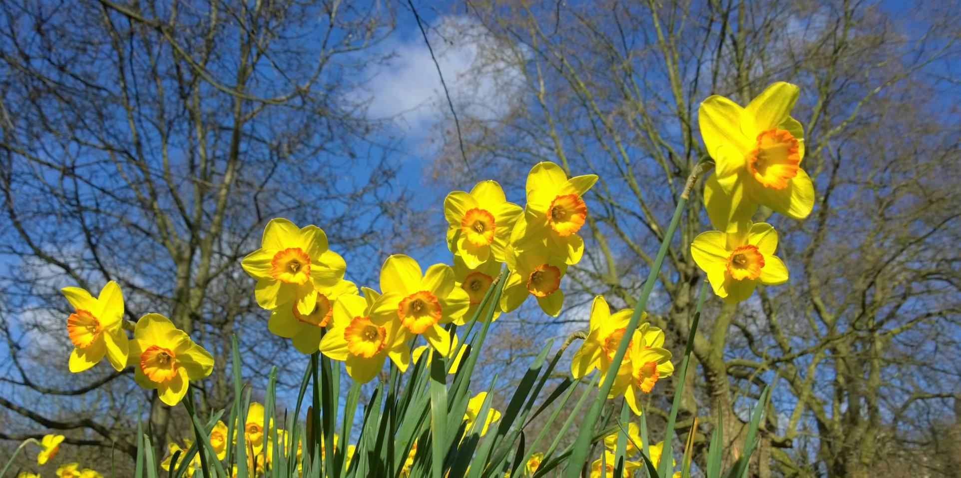 Fasten-und Osterzeit