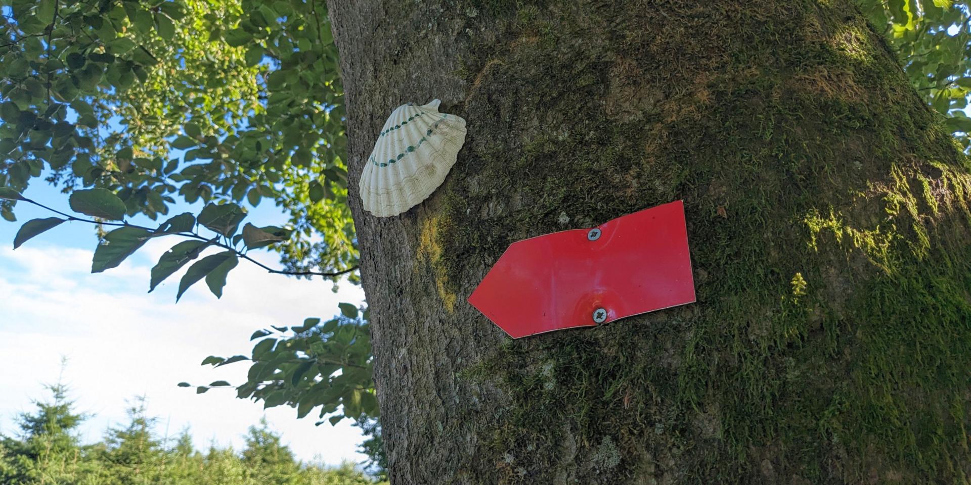 Die Muschel ist das Zeichen der Jakobspilger und markiert in diesem Fall die Via Mosana von Aachen nach Namur. (c) Jari Wieschmann