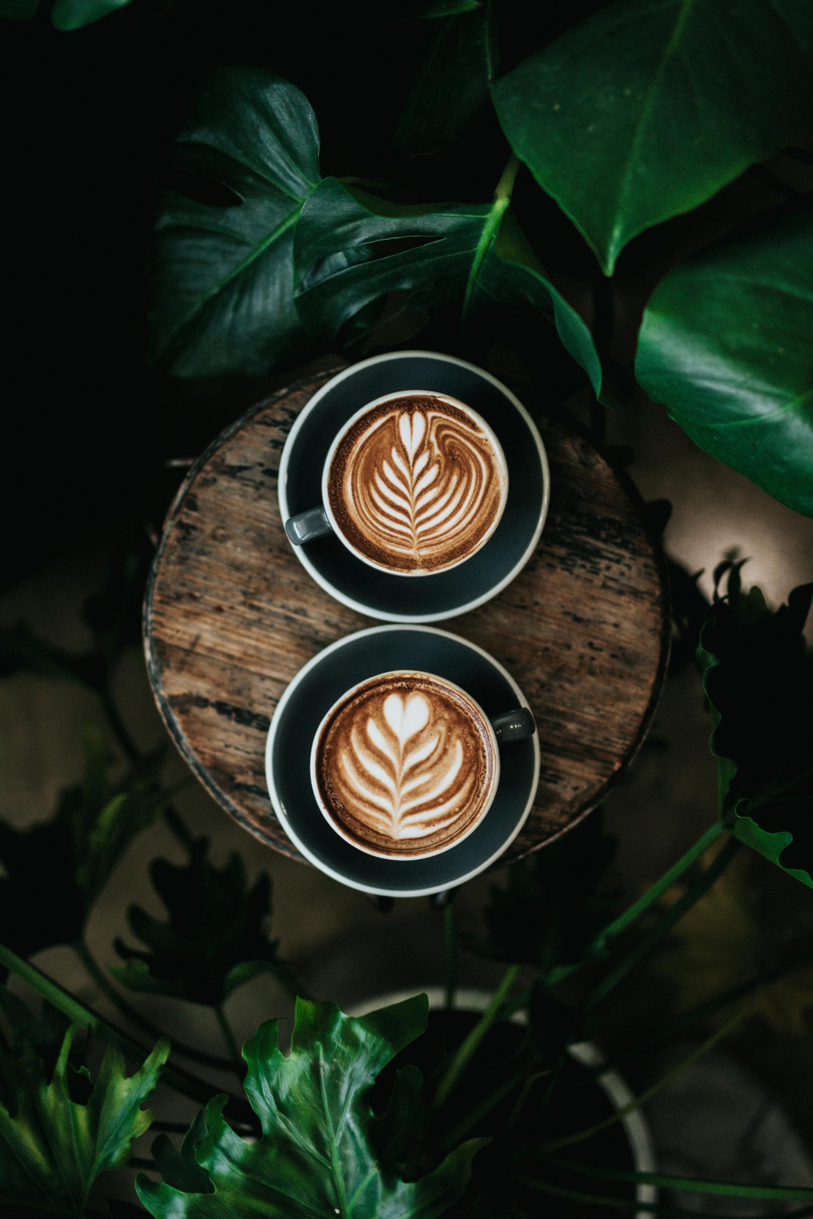 Kaffee (c) Foto von Nathan Dumlao auf Unsplash