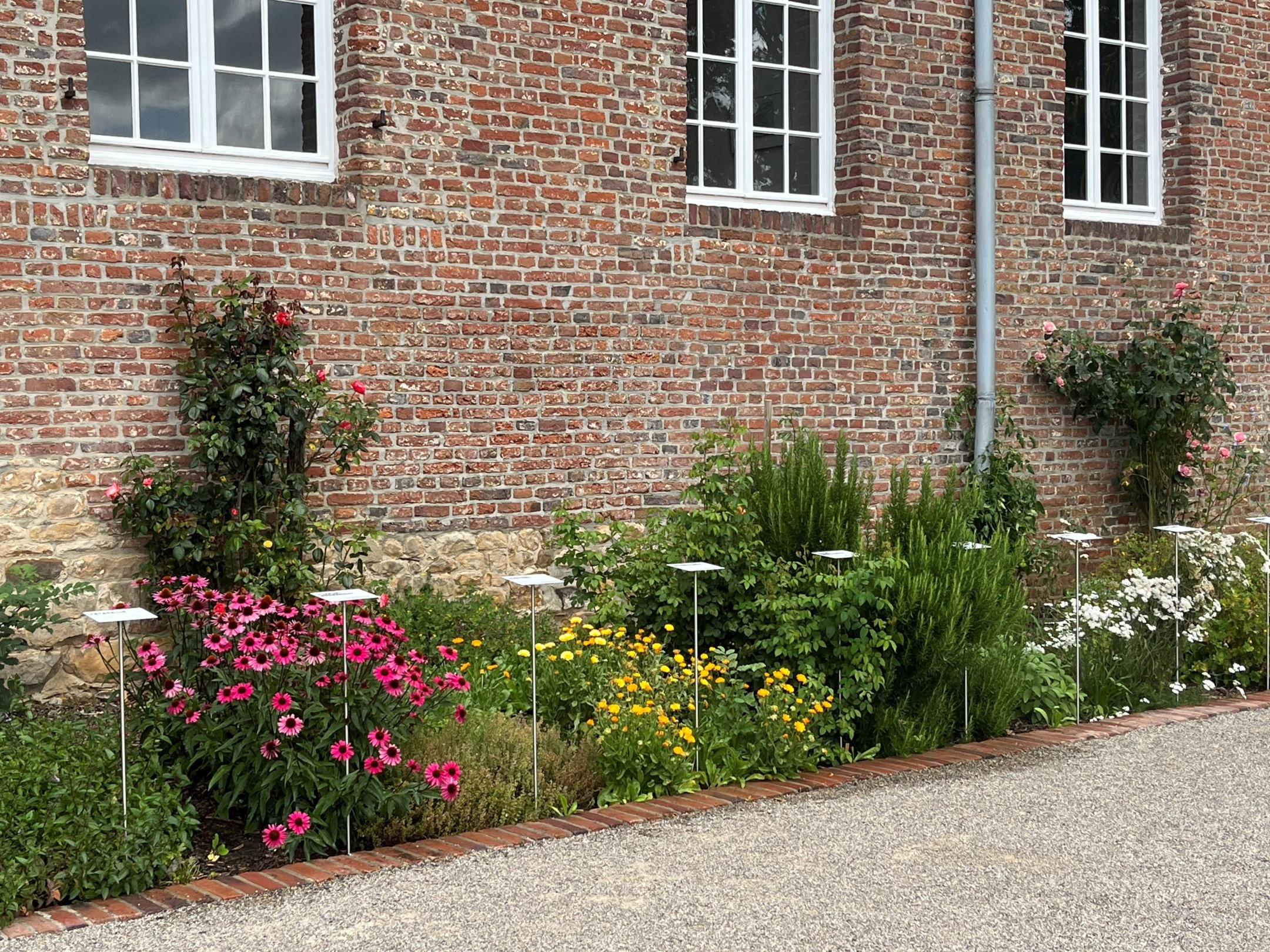 Kräutergarten in Erkelenz, Mauer mit Kräutern