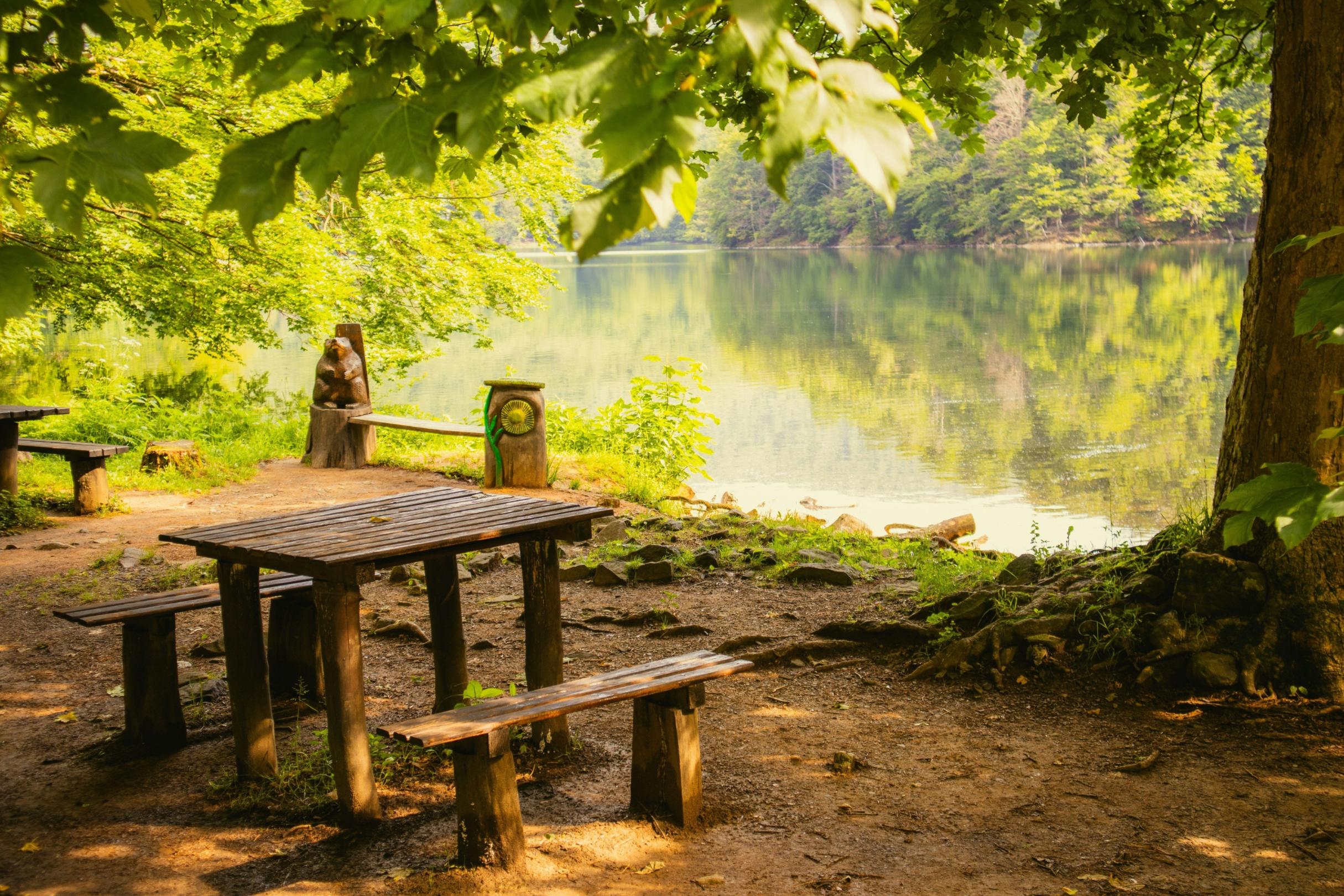 Grüner schattiger Picknickplatz am Wasser im Wald