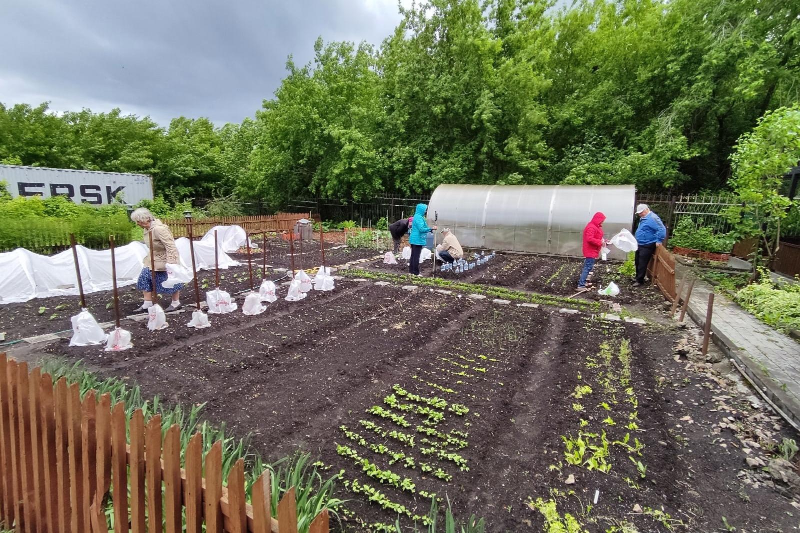 Der Nutzgarten der Caritas in Novosibirsk befindet sich auf demselben Gelände wie die Einrichtungen.