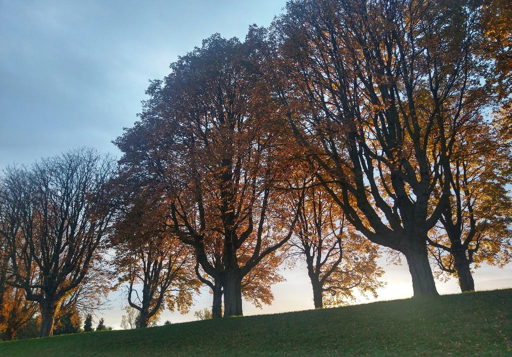Herbst