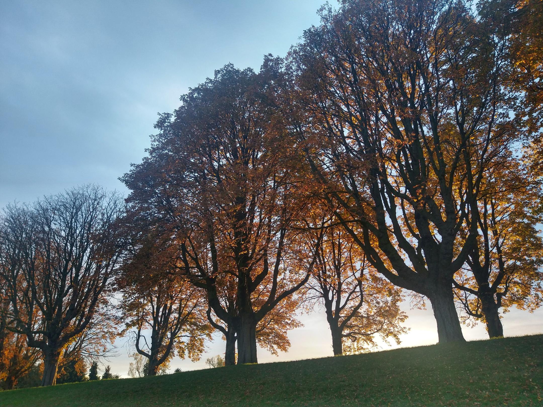 Herbst