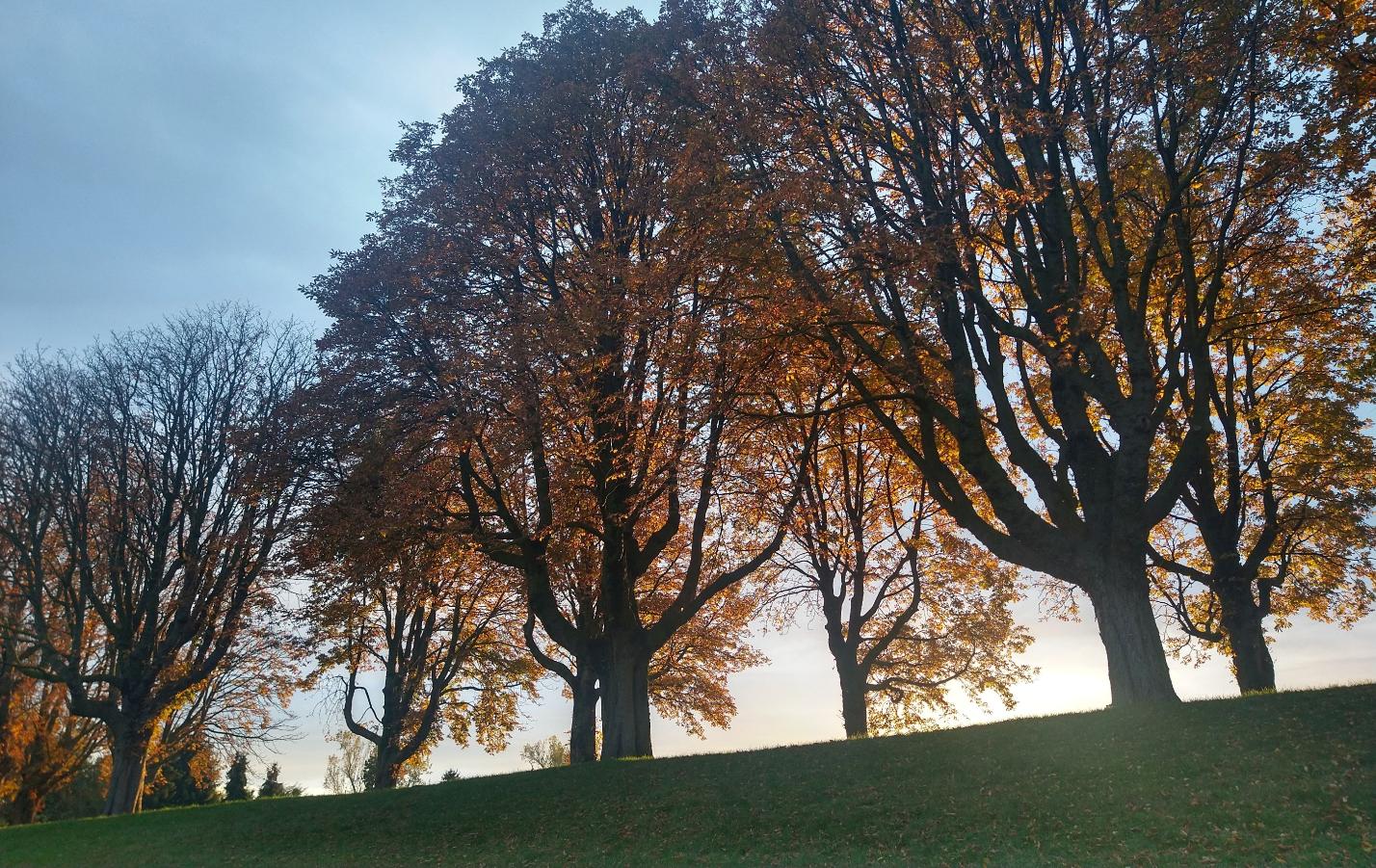 Herbst
