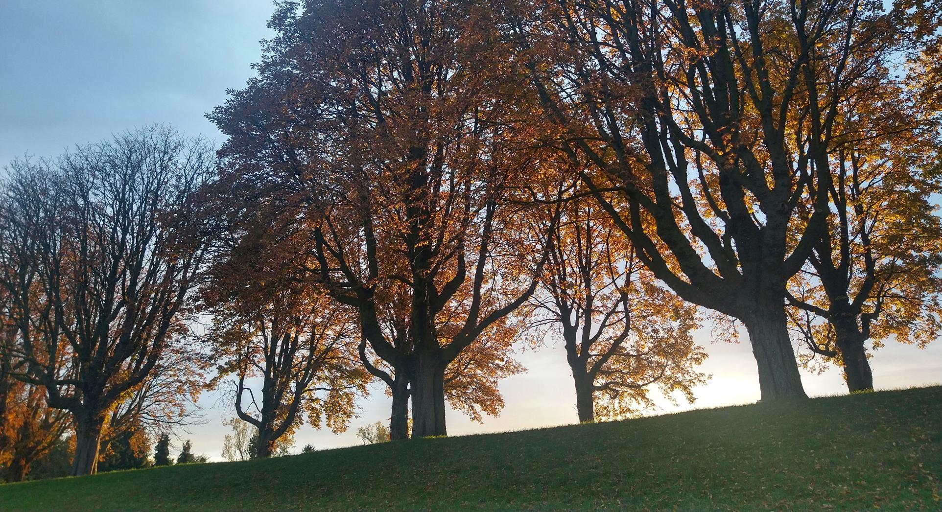 Herbst