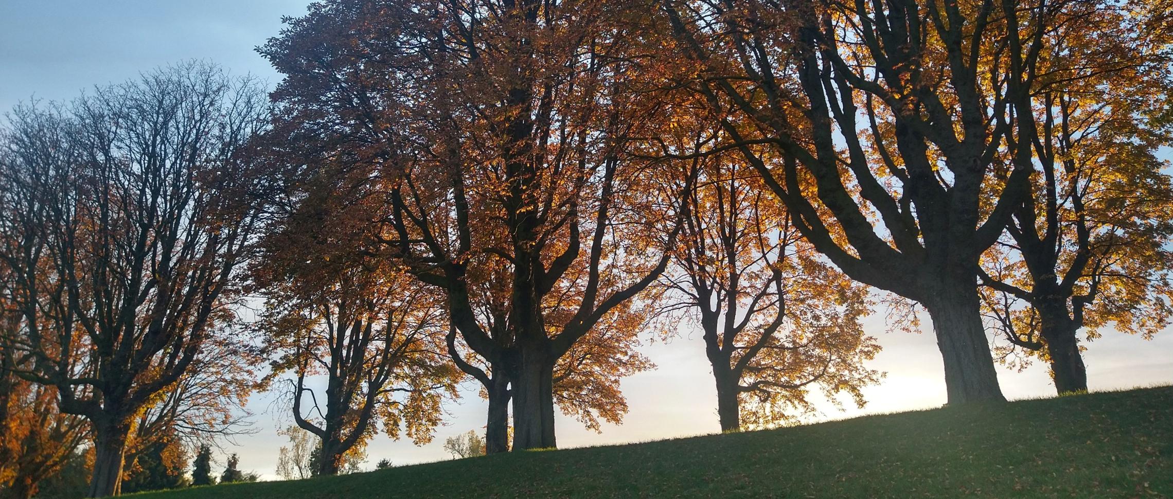 Herbst