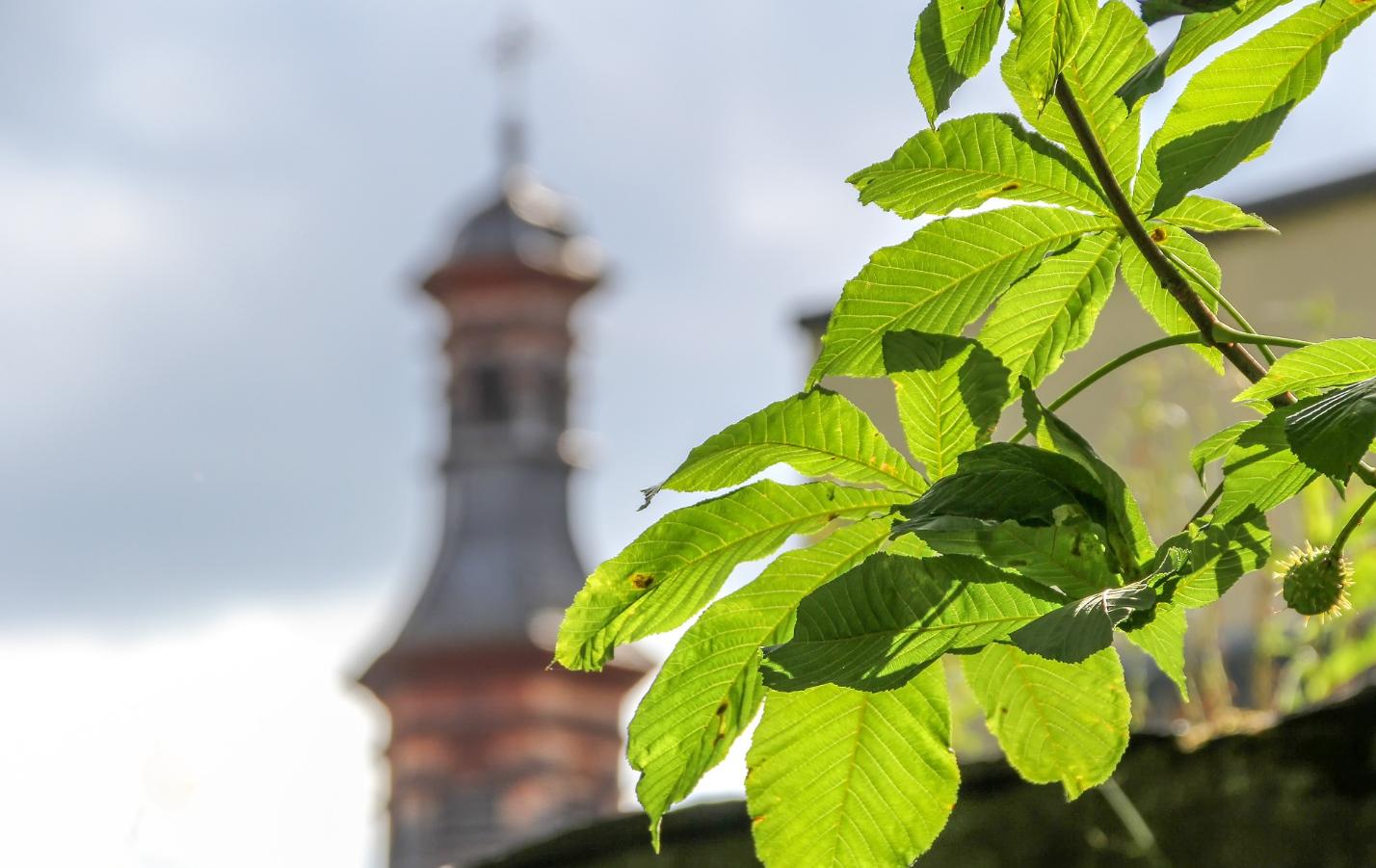 Klimaschutz rund um den Kirchturm