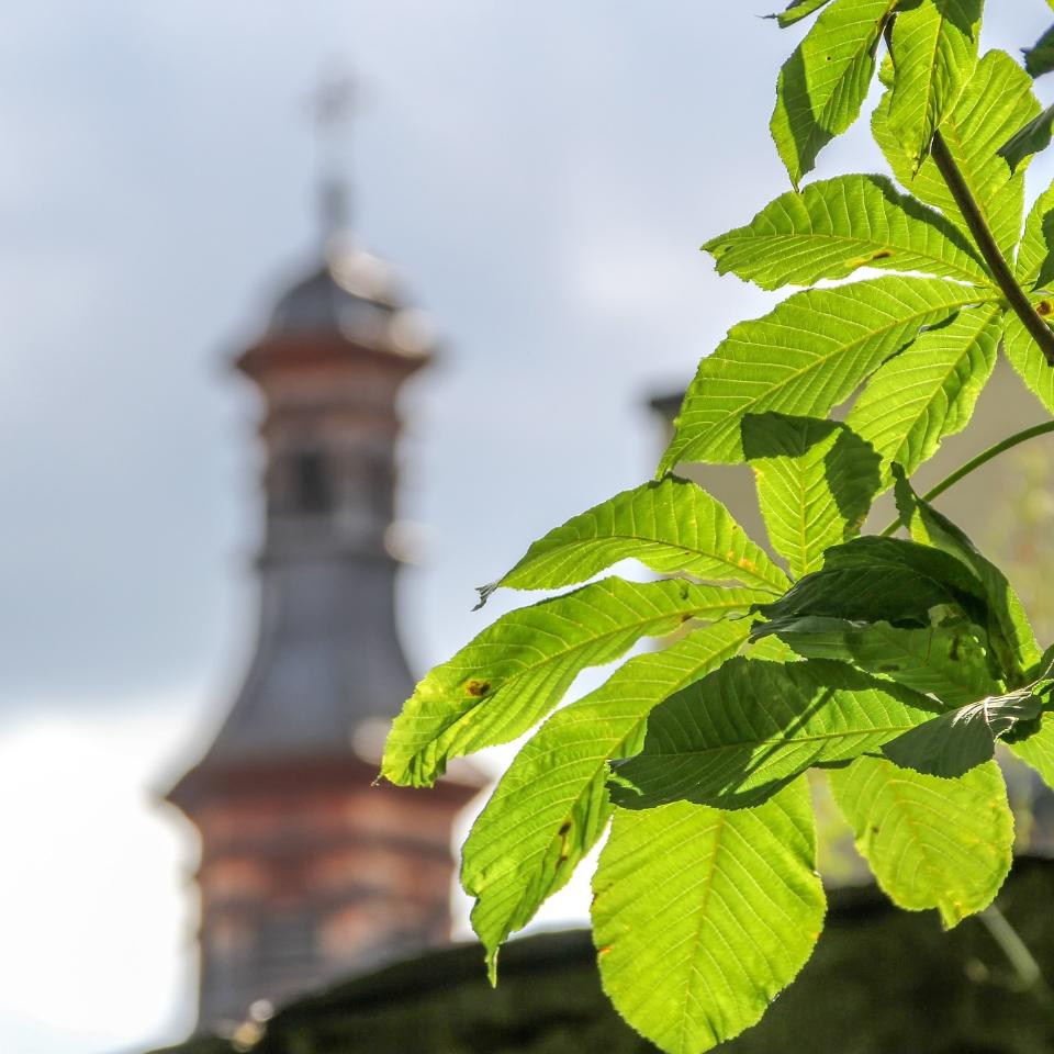 Klimaschutz rund um den Kirchturm