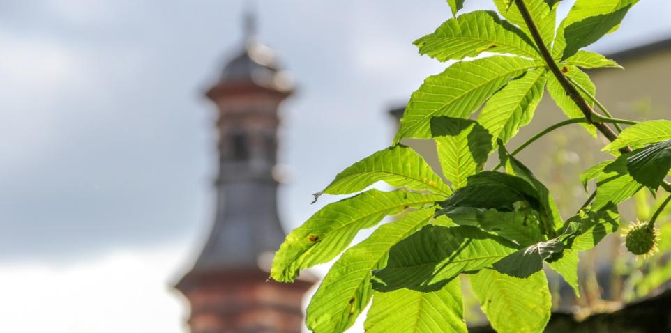 Klimaschutz rund um den Kirchturm