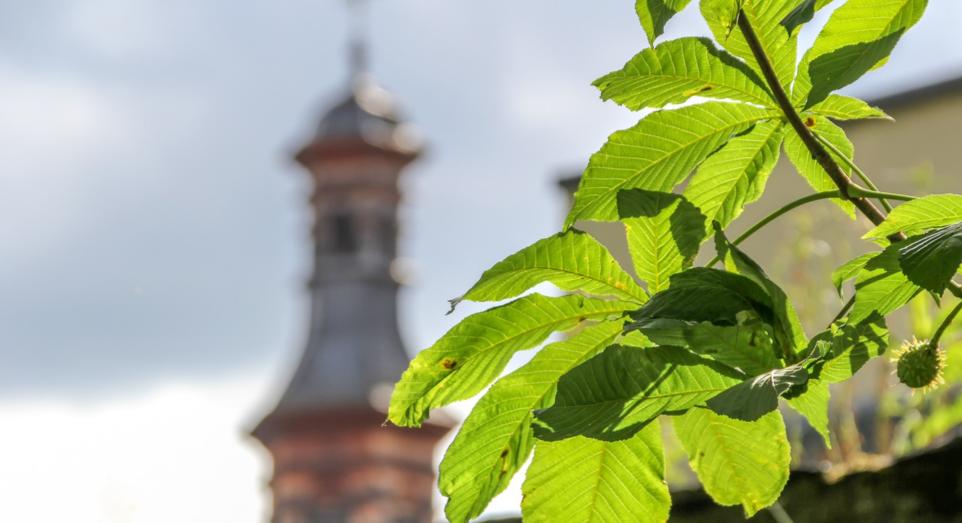 Klimaschutz rund um den Kirchturm