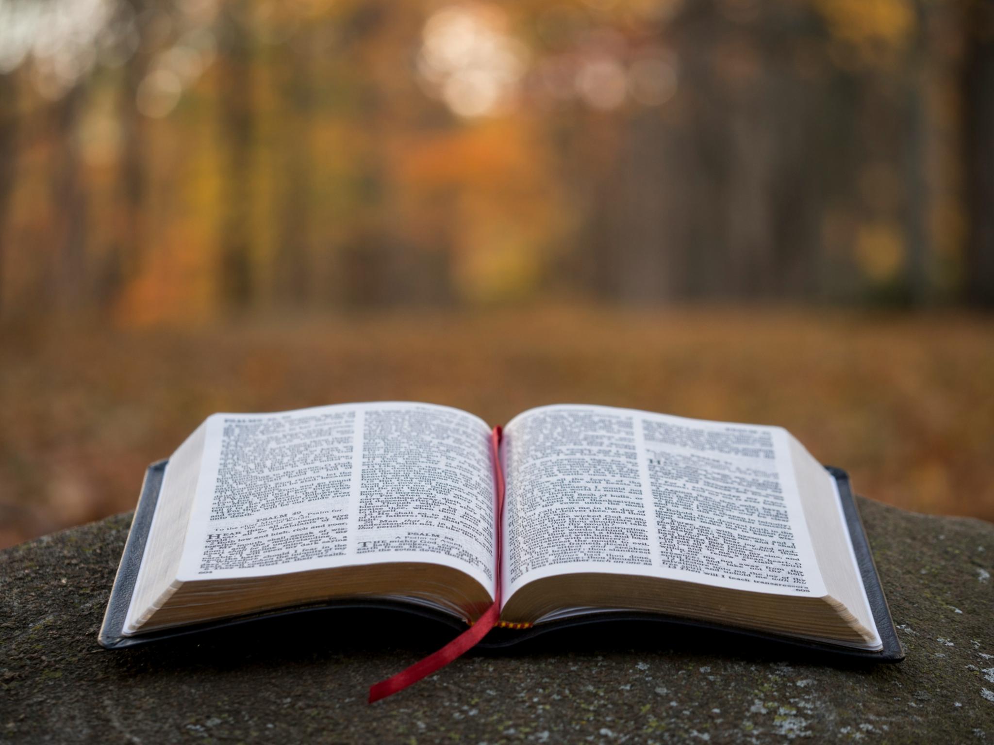 Bibel
