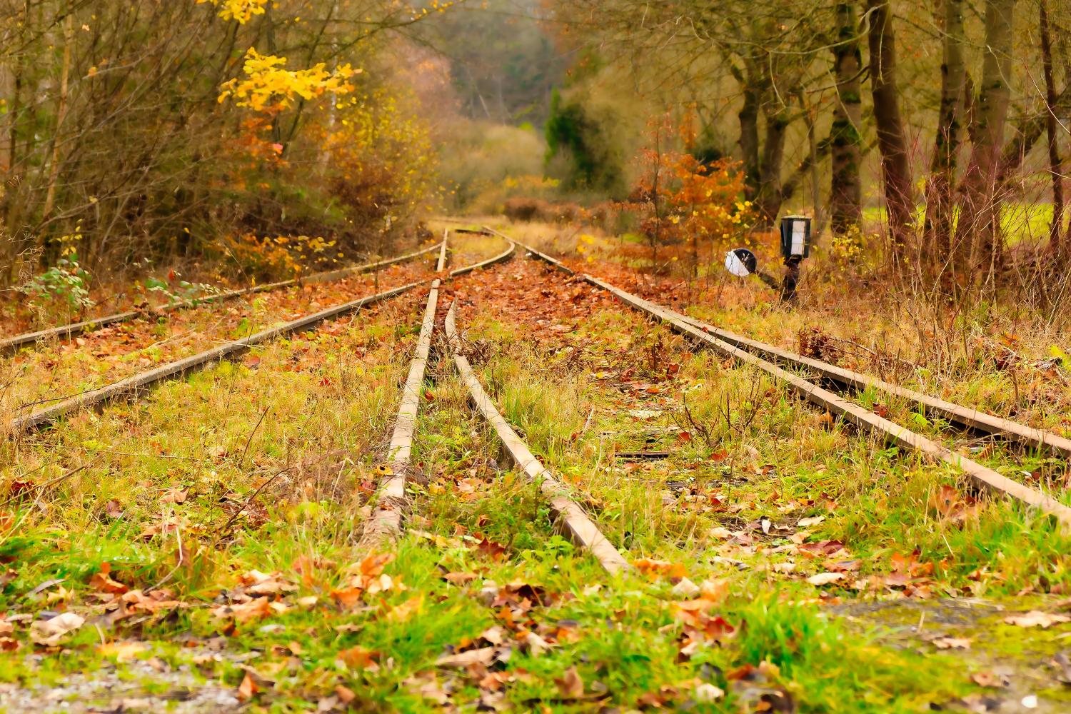 rails-5826657_by_music4life_pixabay_pbs