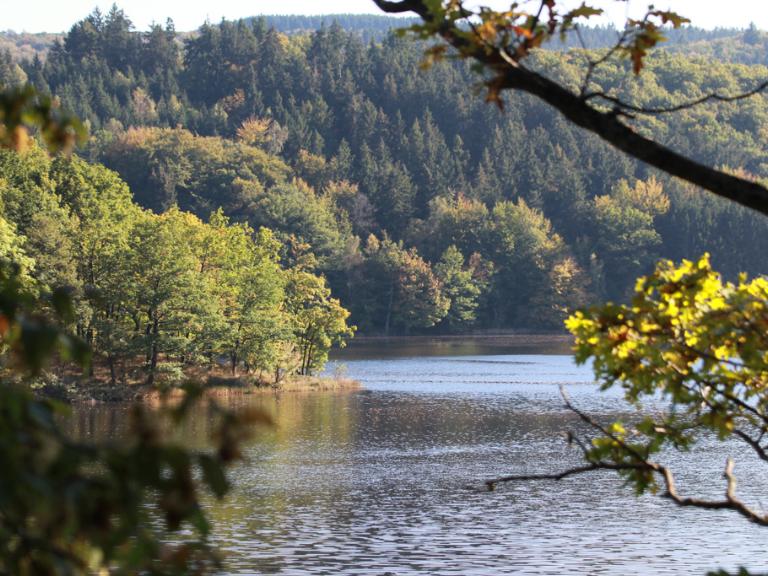 Rursee
