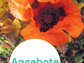 Programmheft 2/2025