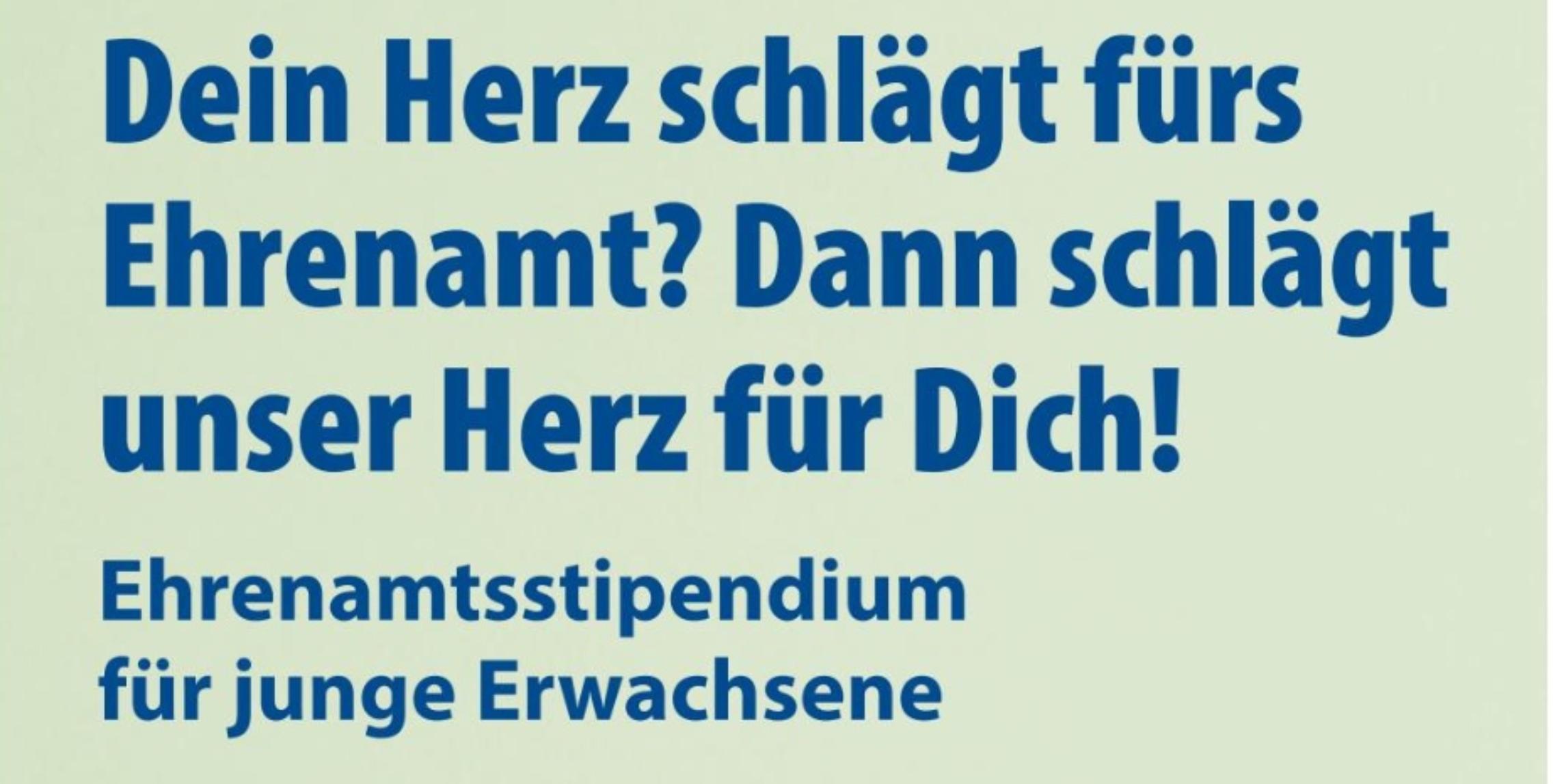 Ehrenamtsstipendium 2027