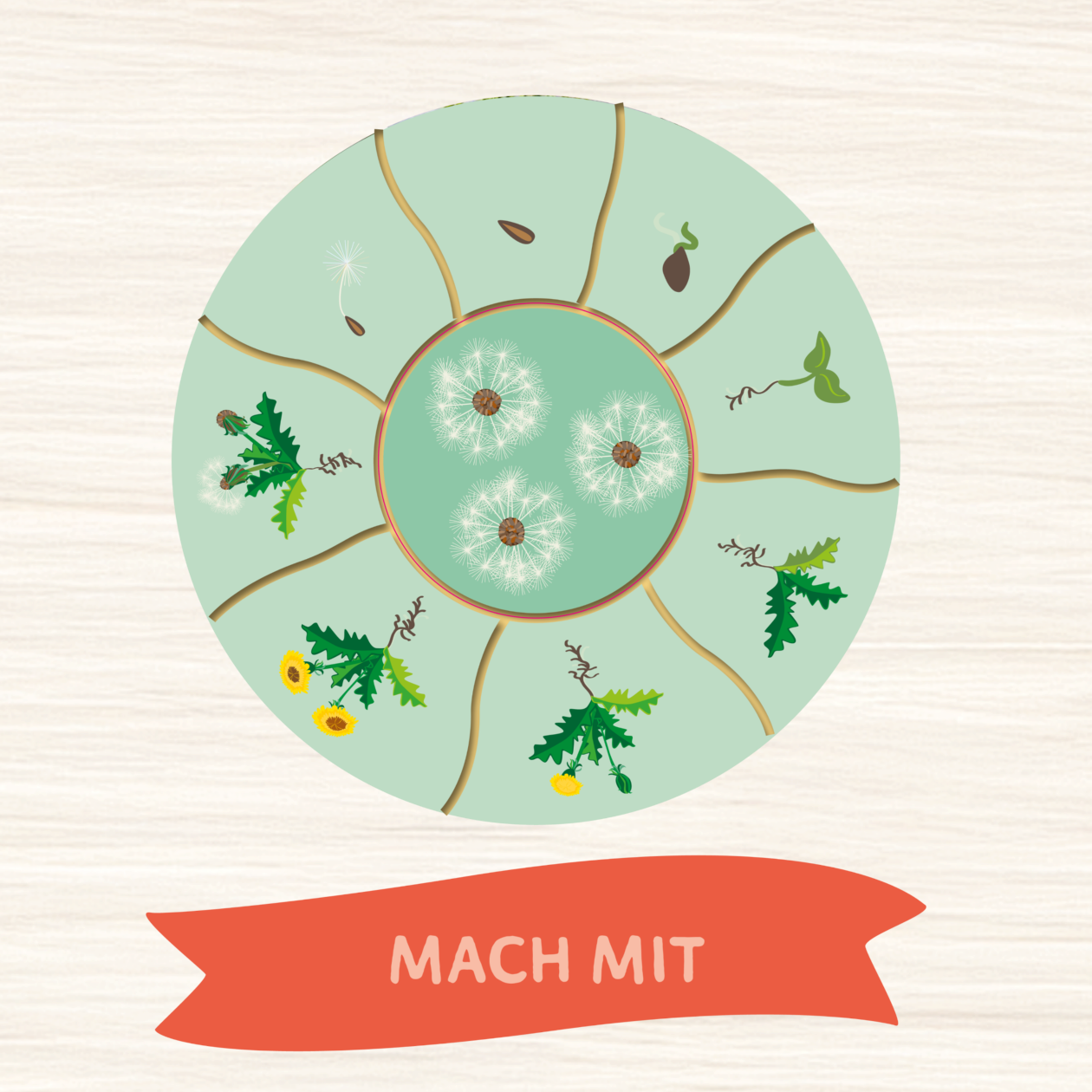 Einstiegskachel zur Mitmachseite Pfingsten