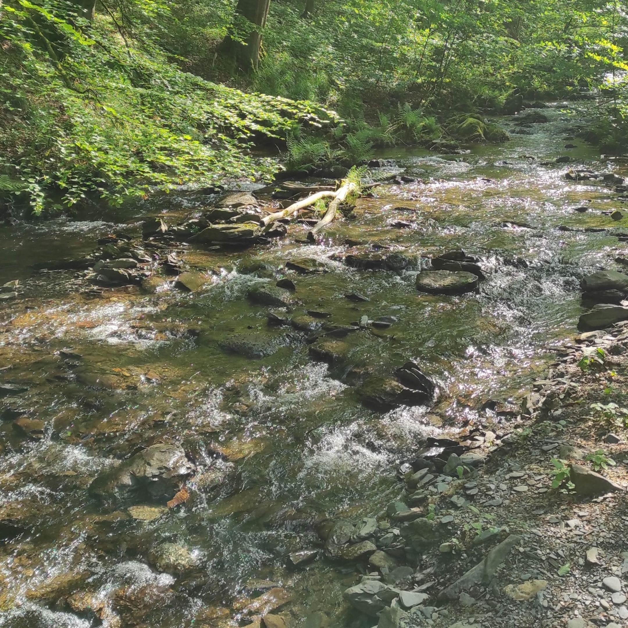 Schöpfungspfad Veranstaltung, co. Werner Conen