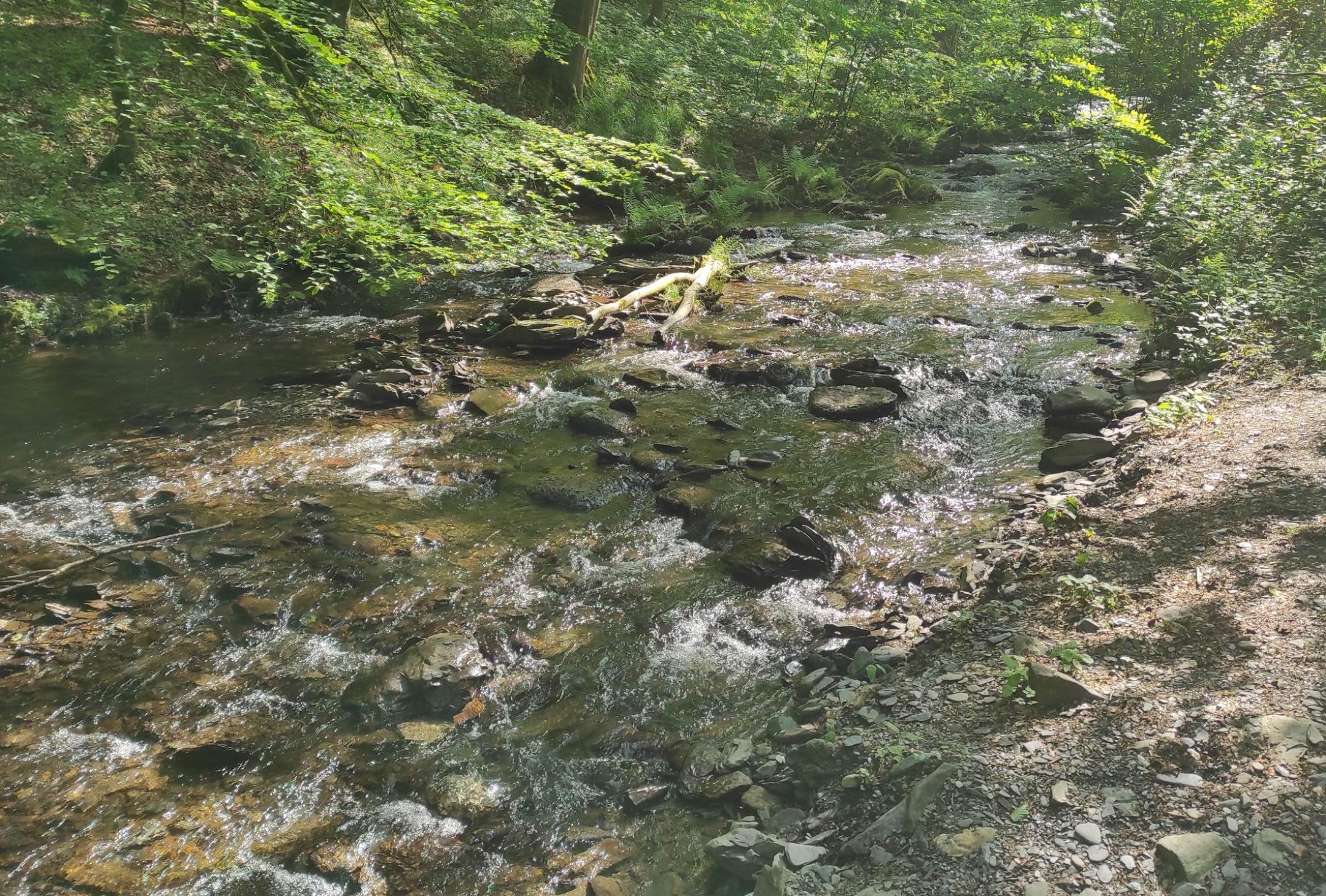 Schöpfungspfad Veranstaltung, co. Werner Conen