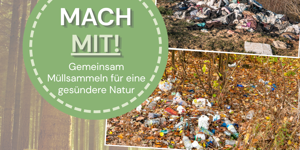 Projekttag Schöpfungsverantwortung