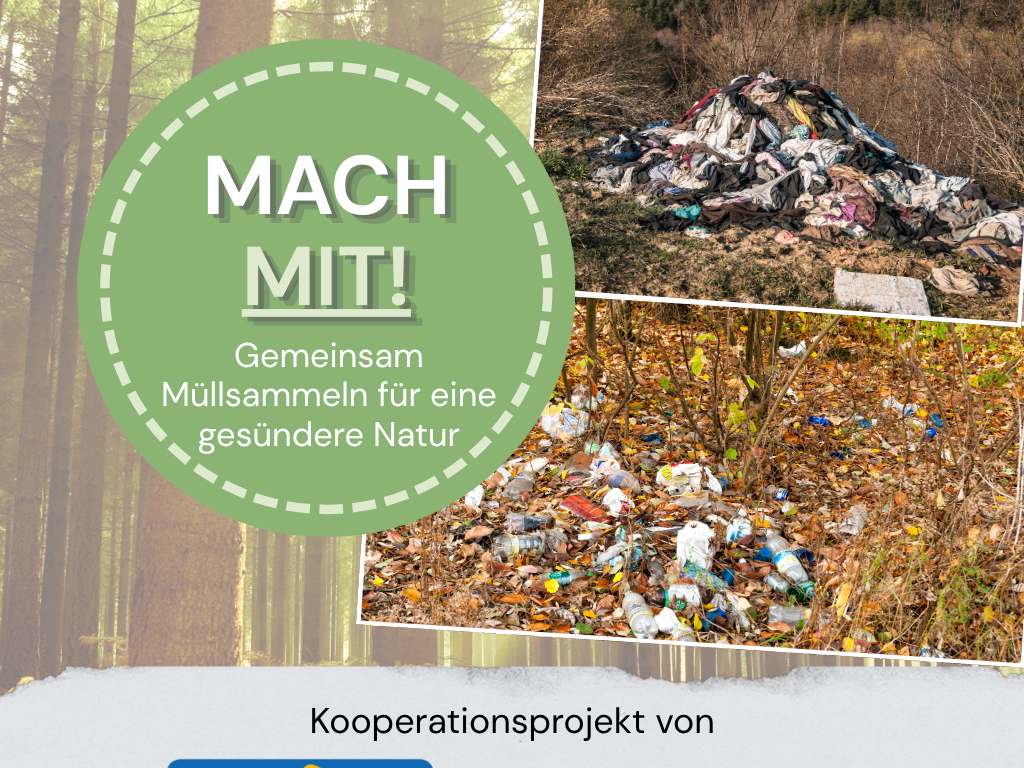 Projekttag Schöpfungsverantwortung