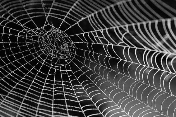 Netz