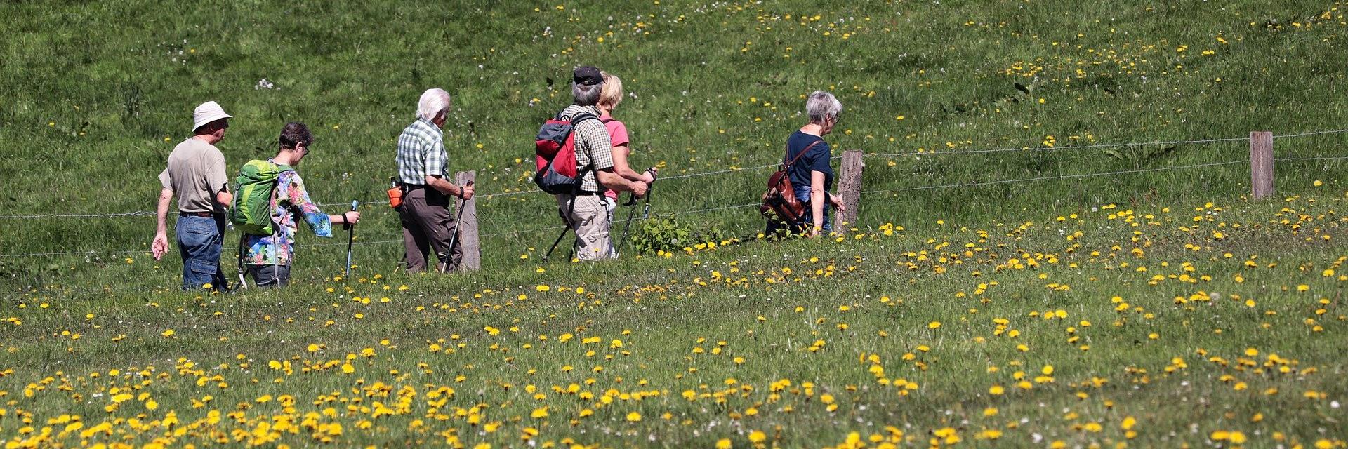 Wandern