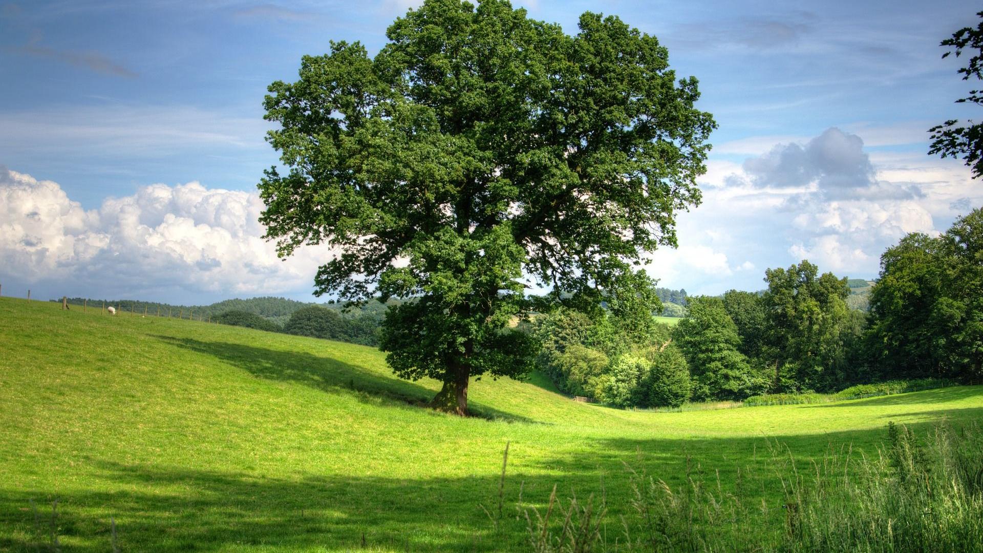 Bild_lignum vitae-Stiftung