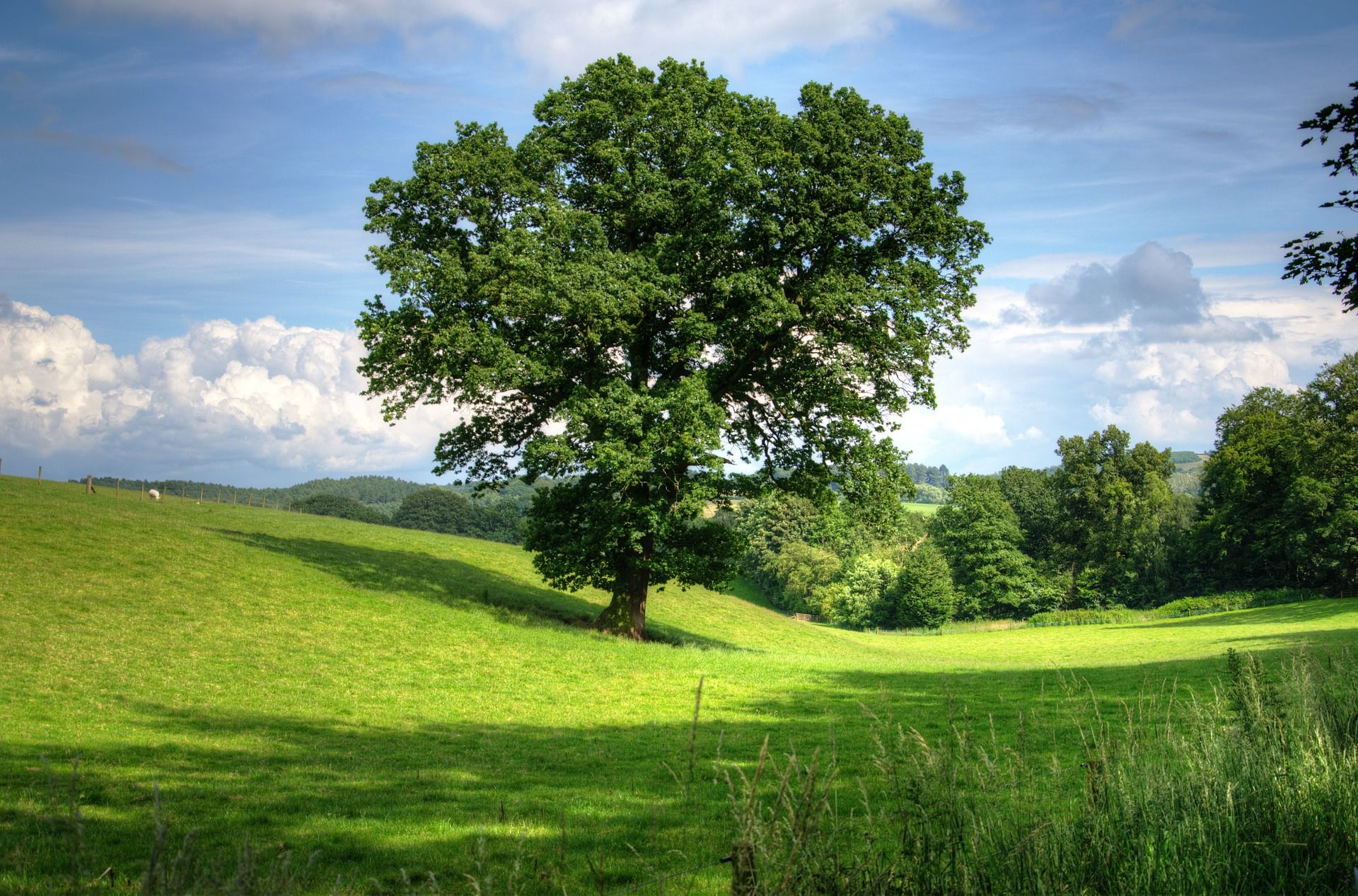 Bild_lignum vitae-Stiftung