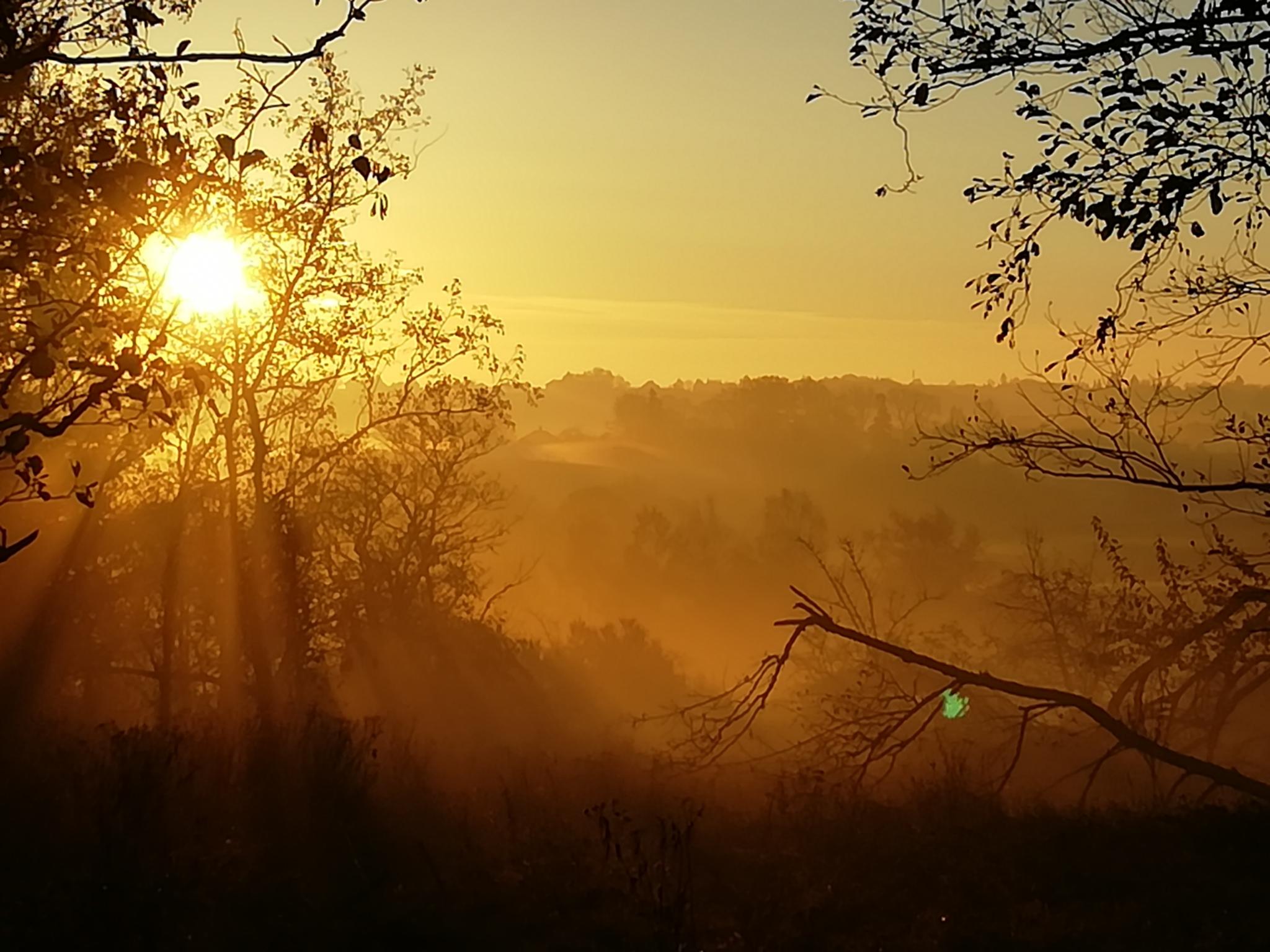 Schöpfungsspiritualität