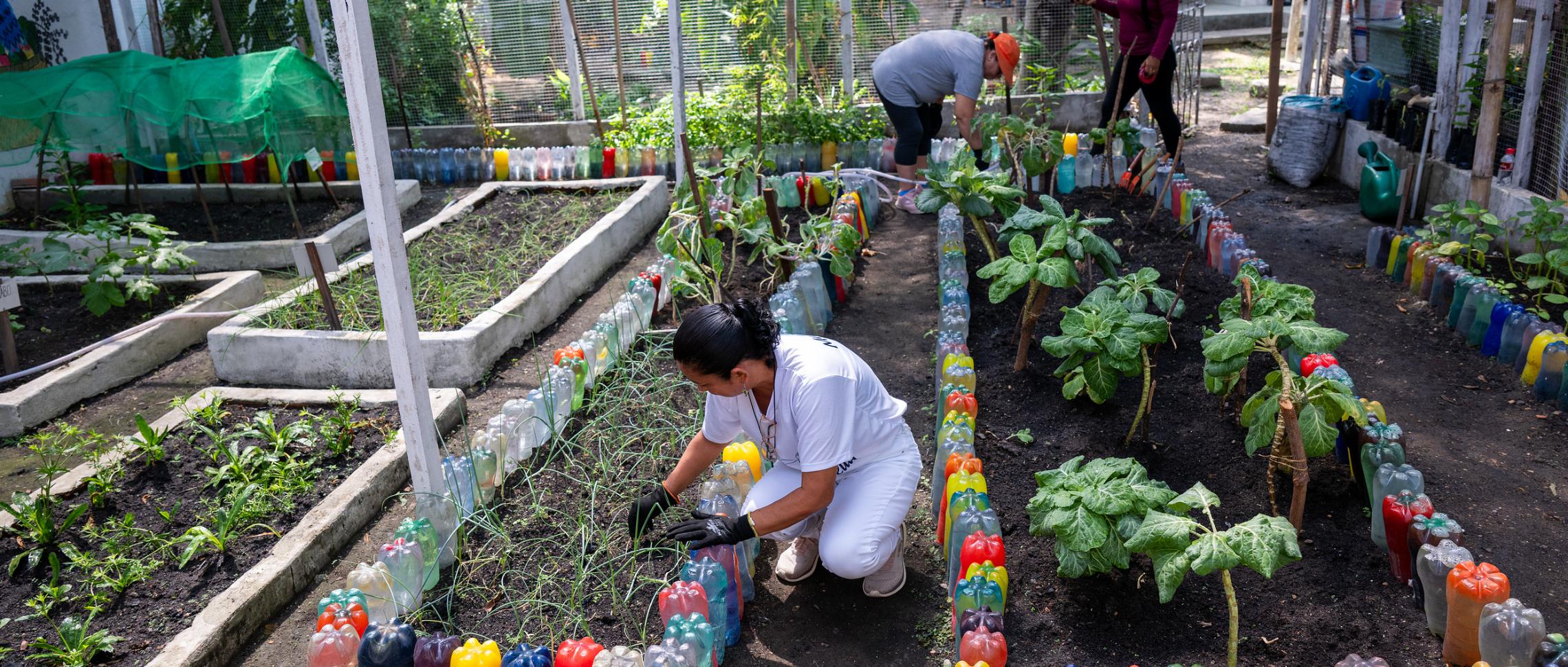 Adveniat-Weihnachtsaktion 2025