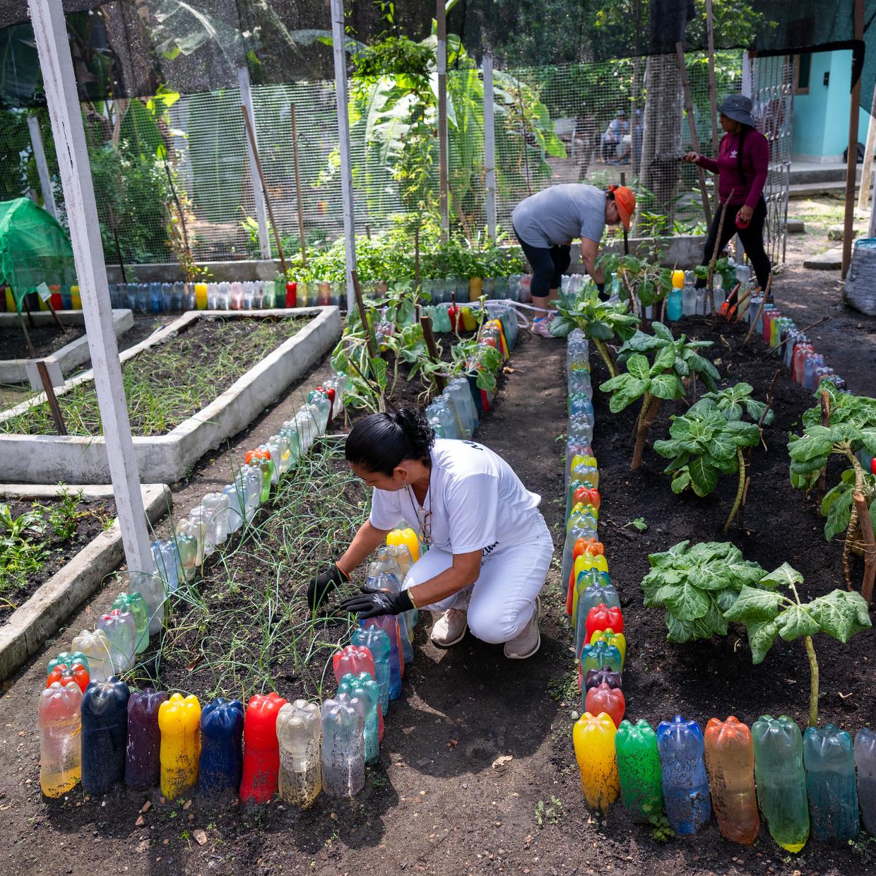 Adveniat-Weihnachtsaktion 2025