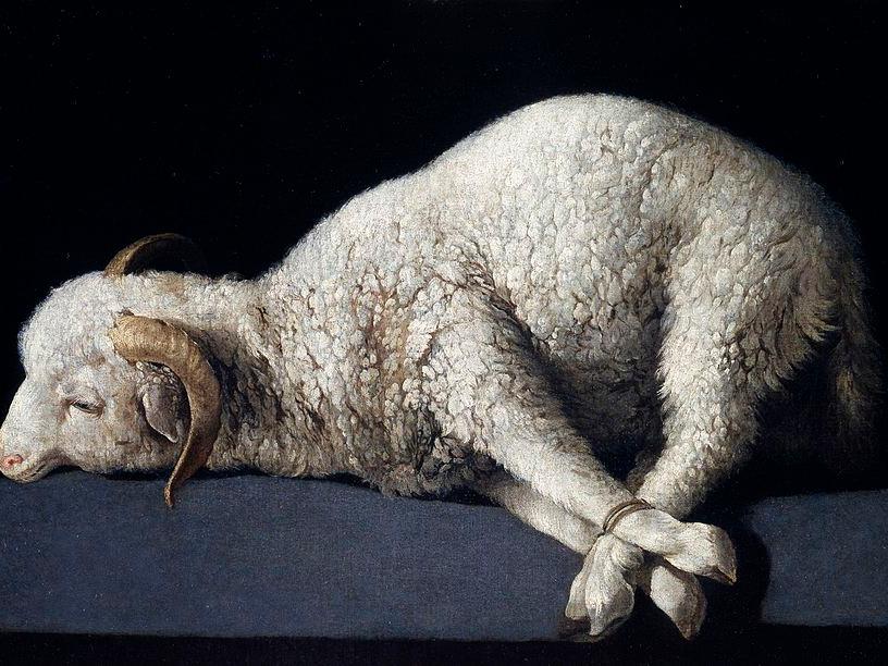 Francisco de Zurbarán  (1598–1664), Agnus Dei