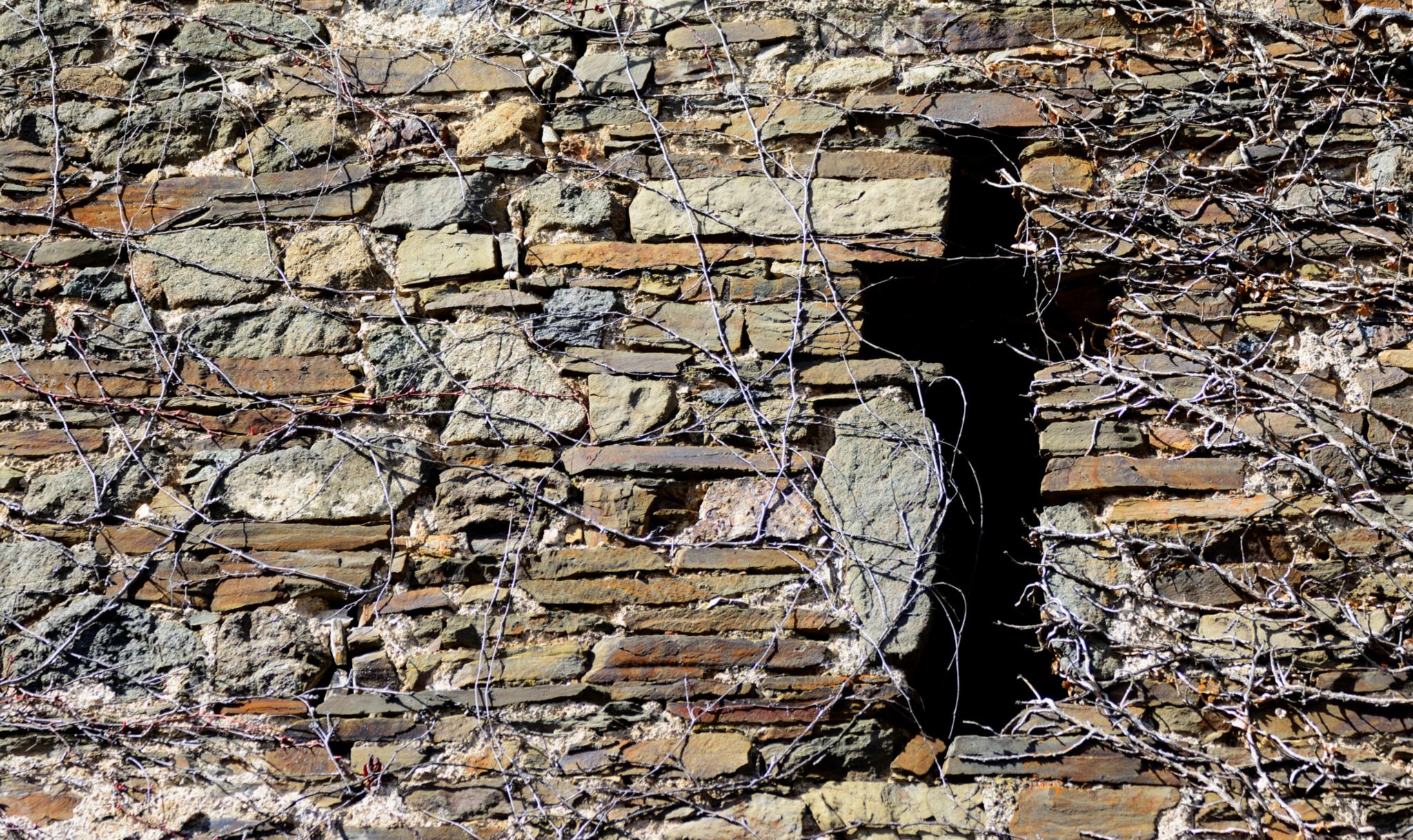 Eine bewachsene Steinmauer, darin ein Loch in Kreuzform.