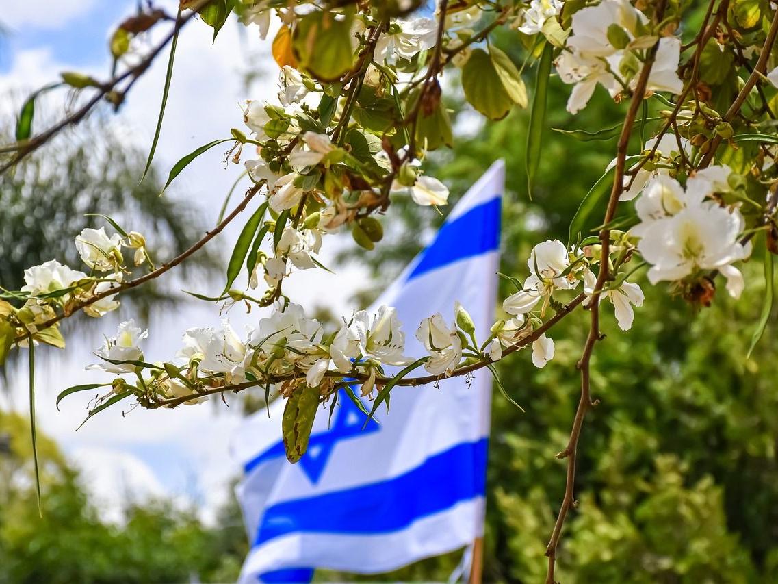 Flagge von Israel mit Zweigen