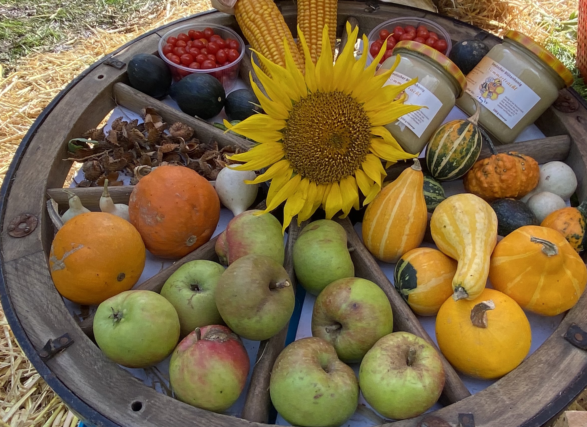 Im Herbst taucht die Sonne die Natur in ein goldenes Licht. Zum Erntedank zeigt sich nochmals ihre Fülle: Neben den Blättern sind auch die Früchte farbenfroh, wie die Kürbisse, Äpfel, die Nüsse und der Mais zeigen.