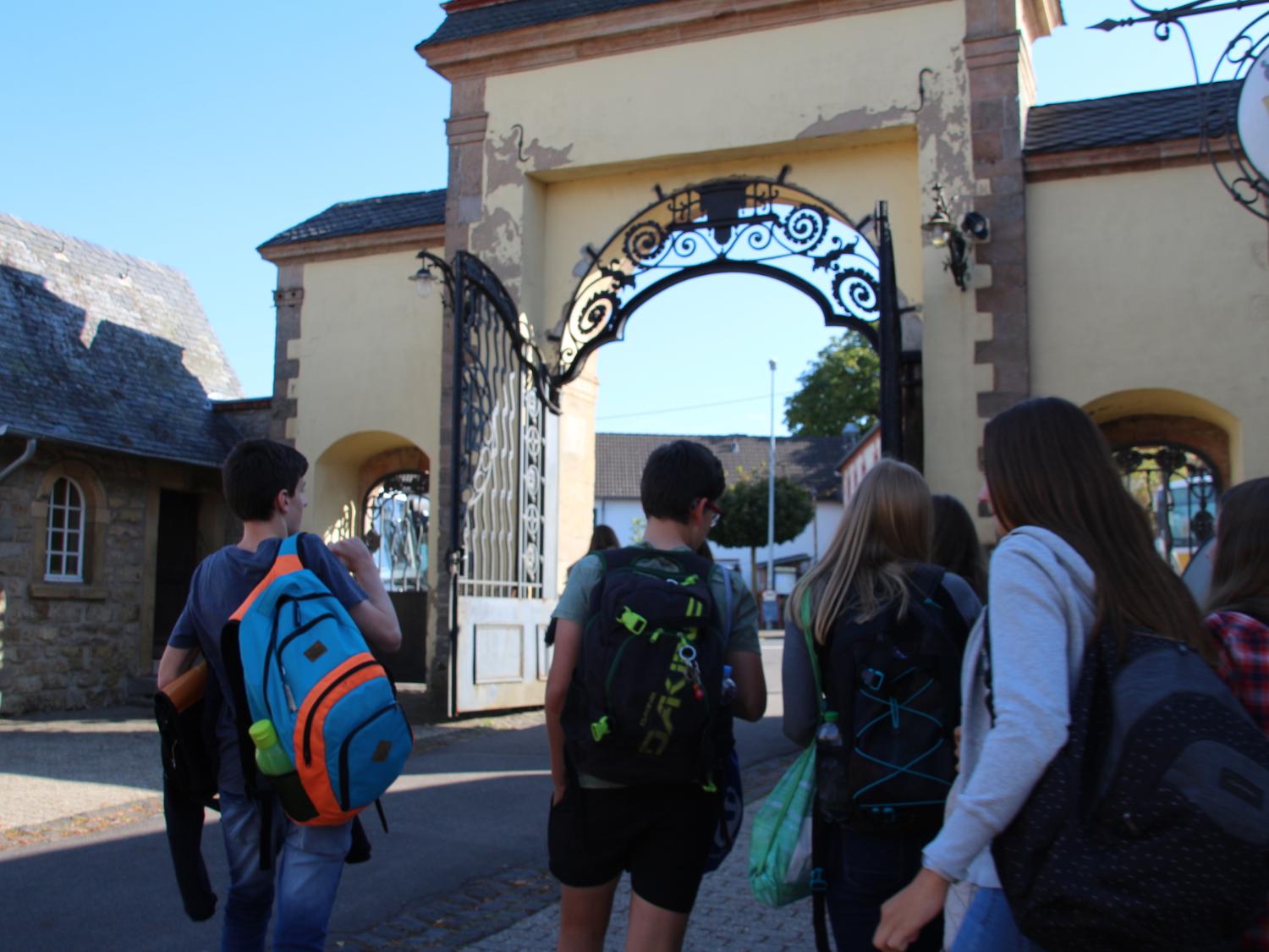 Rund 700 Schülerinnen und Schüler besuchen das Gymnasium in Steinfeld.