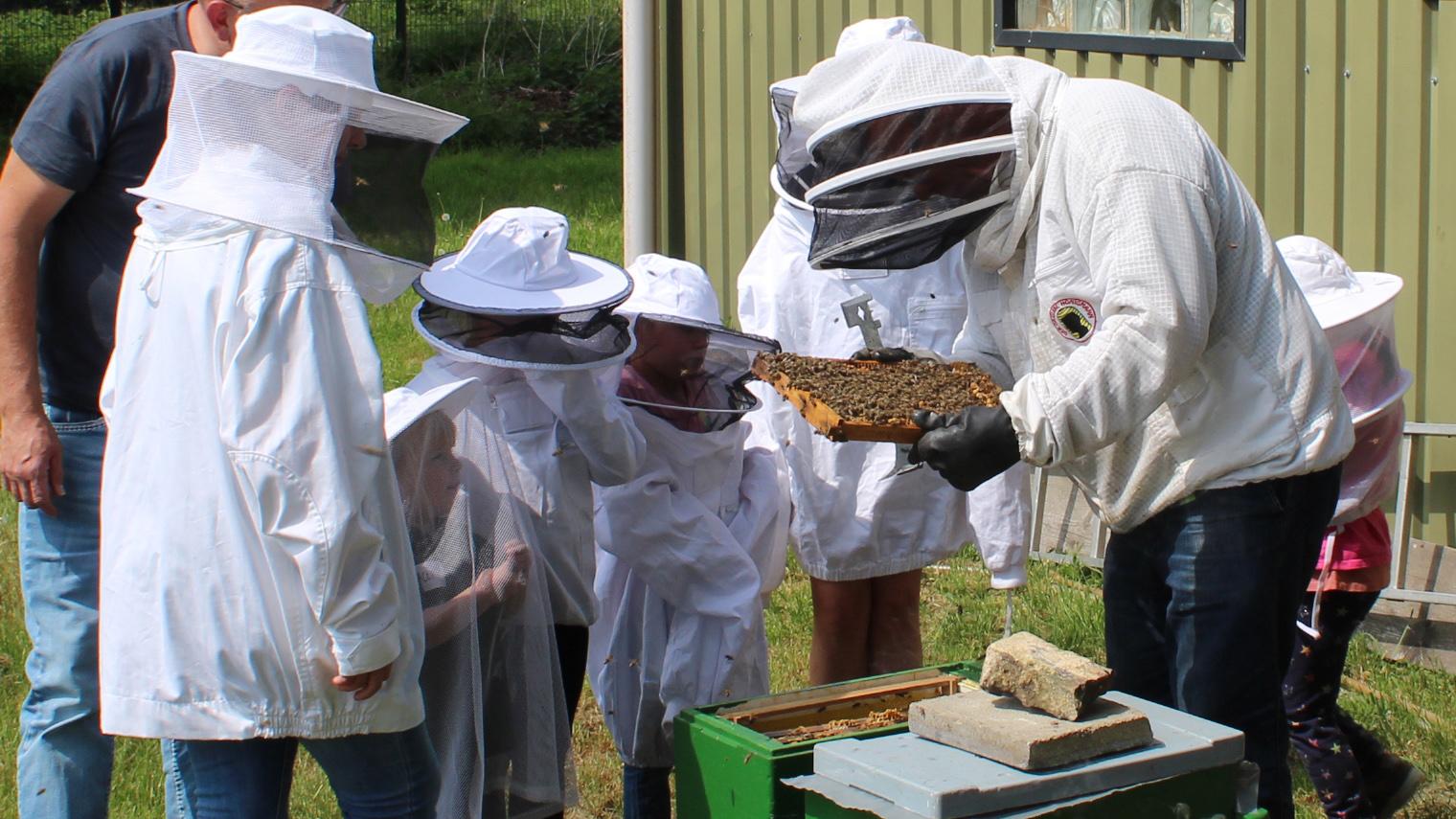 Imker Manfred Kochs zeigt einer Kleingruppe den Aufbau des Bienenstocks und die Zusammenarbeit im Bienenvolk.