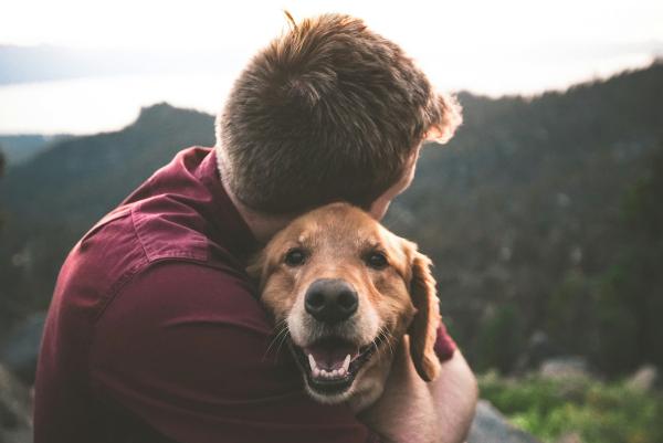 Der Hund als der treue Begleiter des Menschen. Das ist seit etwa 20 000 Jahren so.