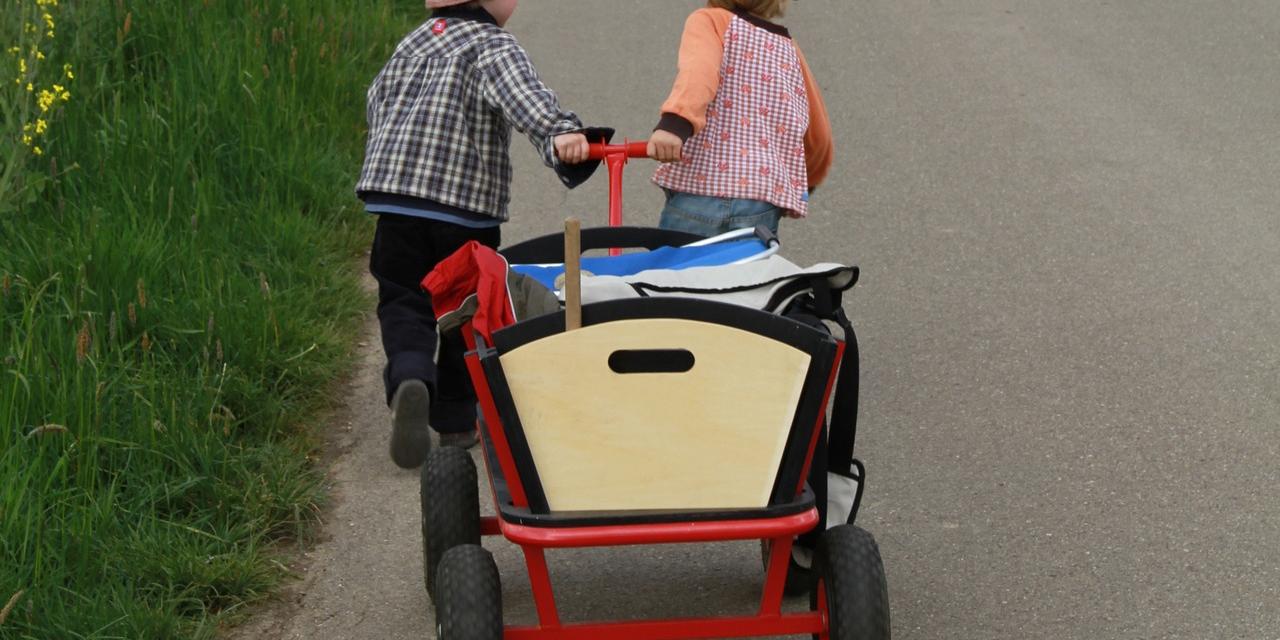 Kinder-Bollerwagen